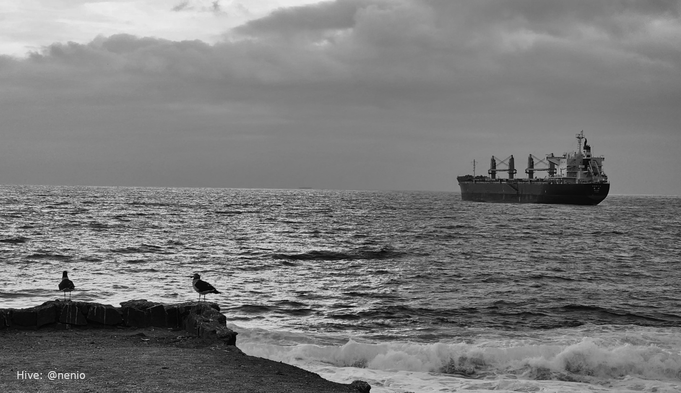 sea-side-001-bw.jpg