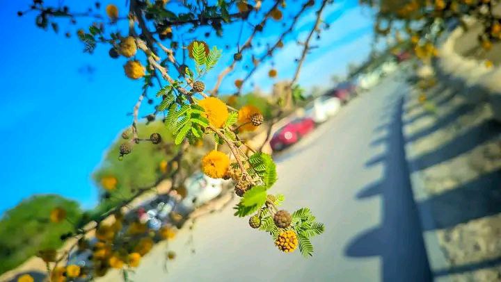 IMG_20250523_073129_740.jpg