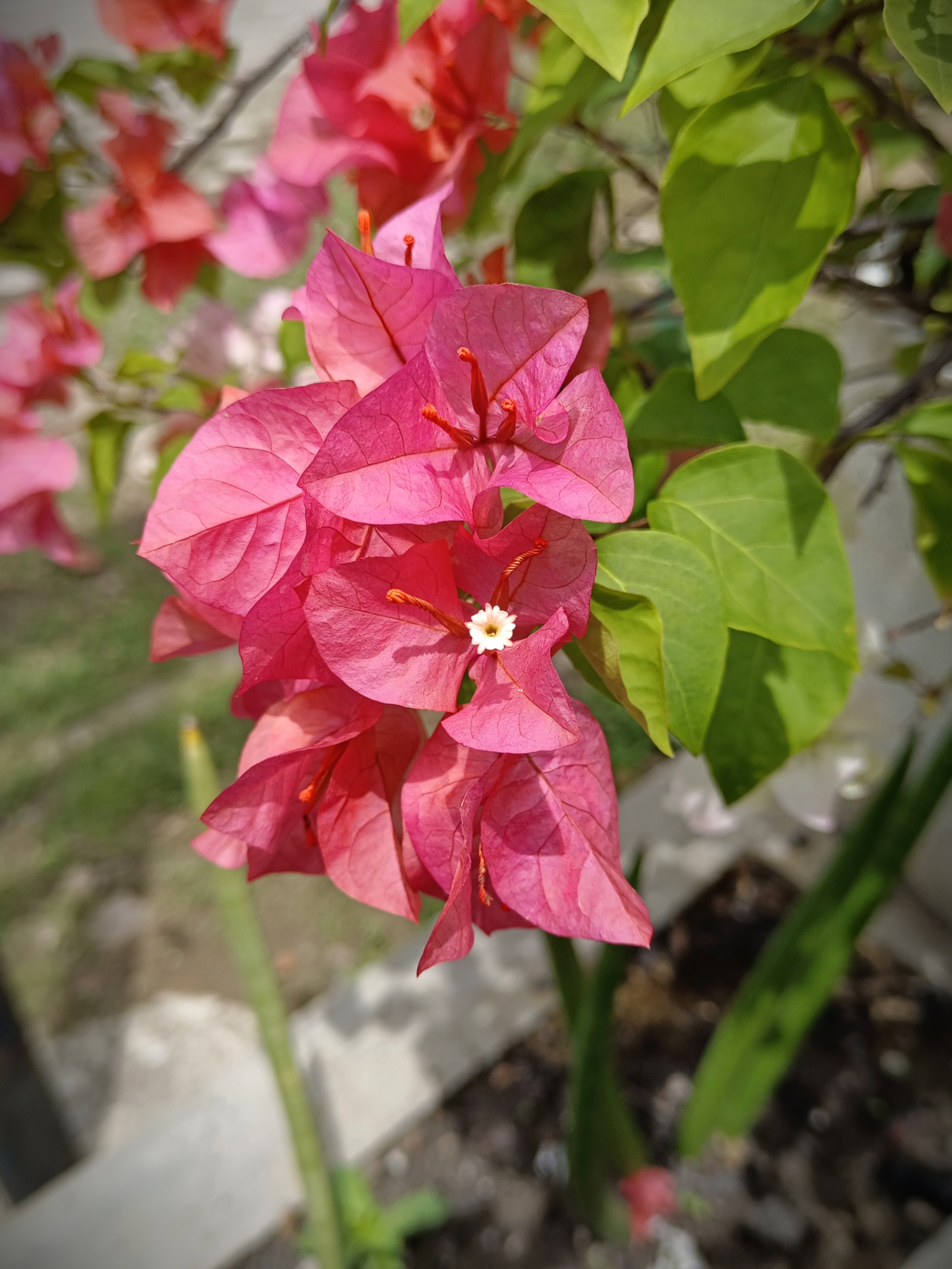 IMG_20250406_004153.jpg