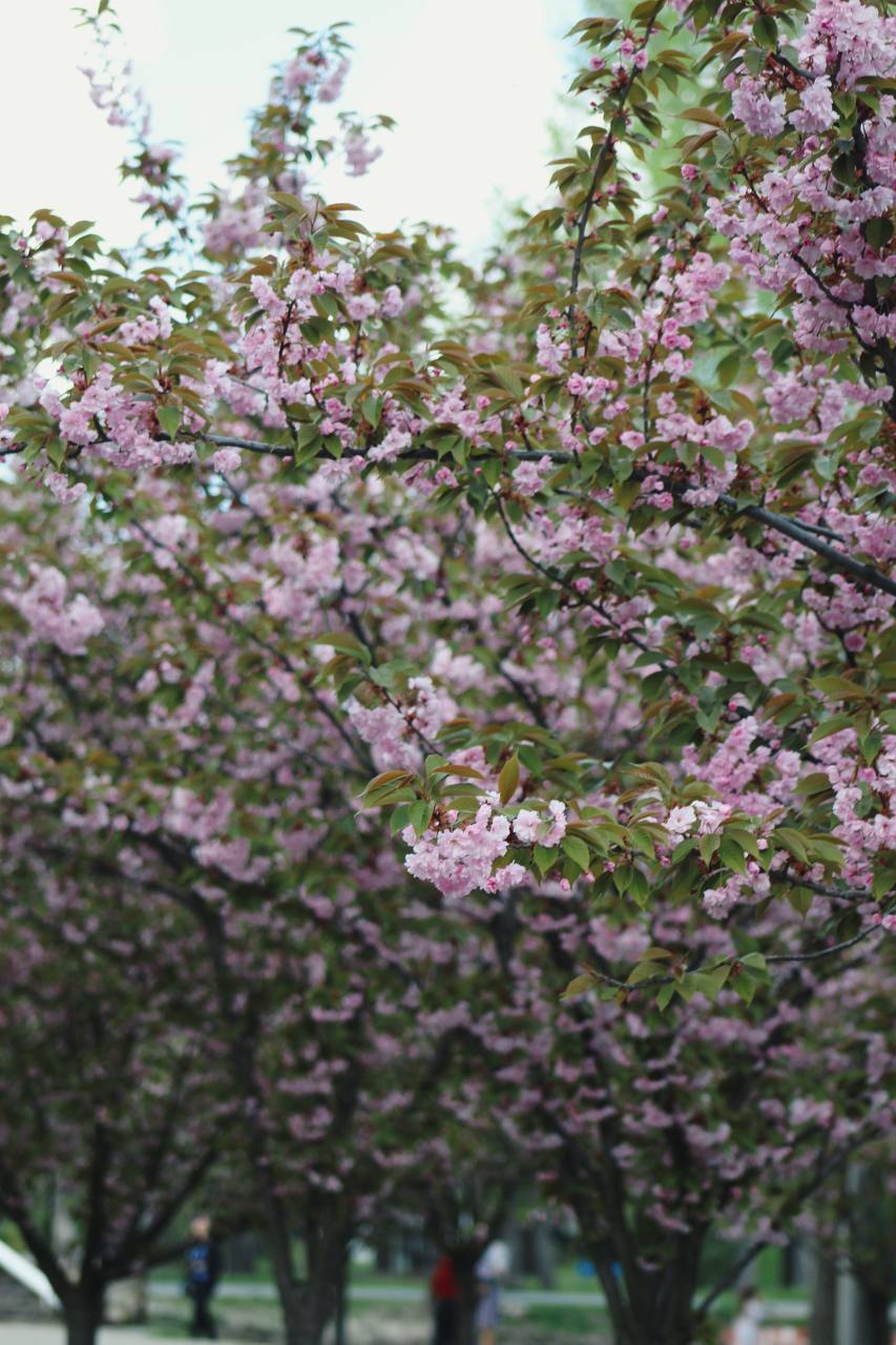 IMG_3183.jpeg