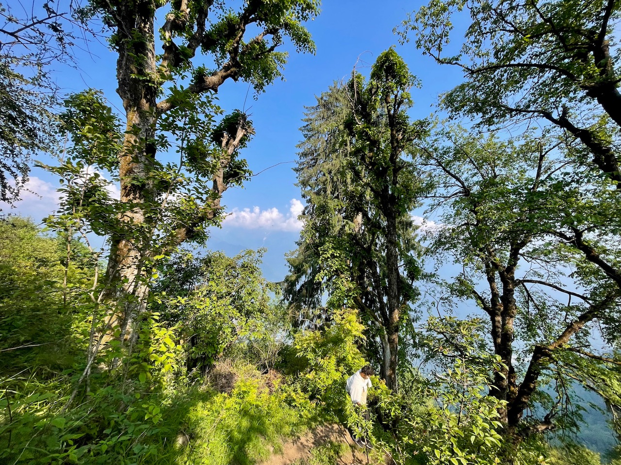 IMG_3960.jpeg
