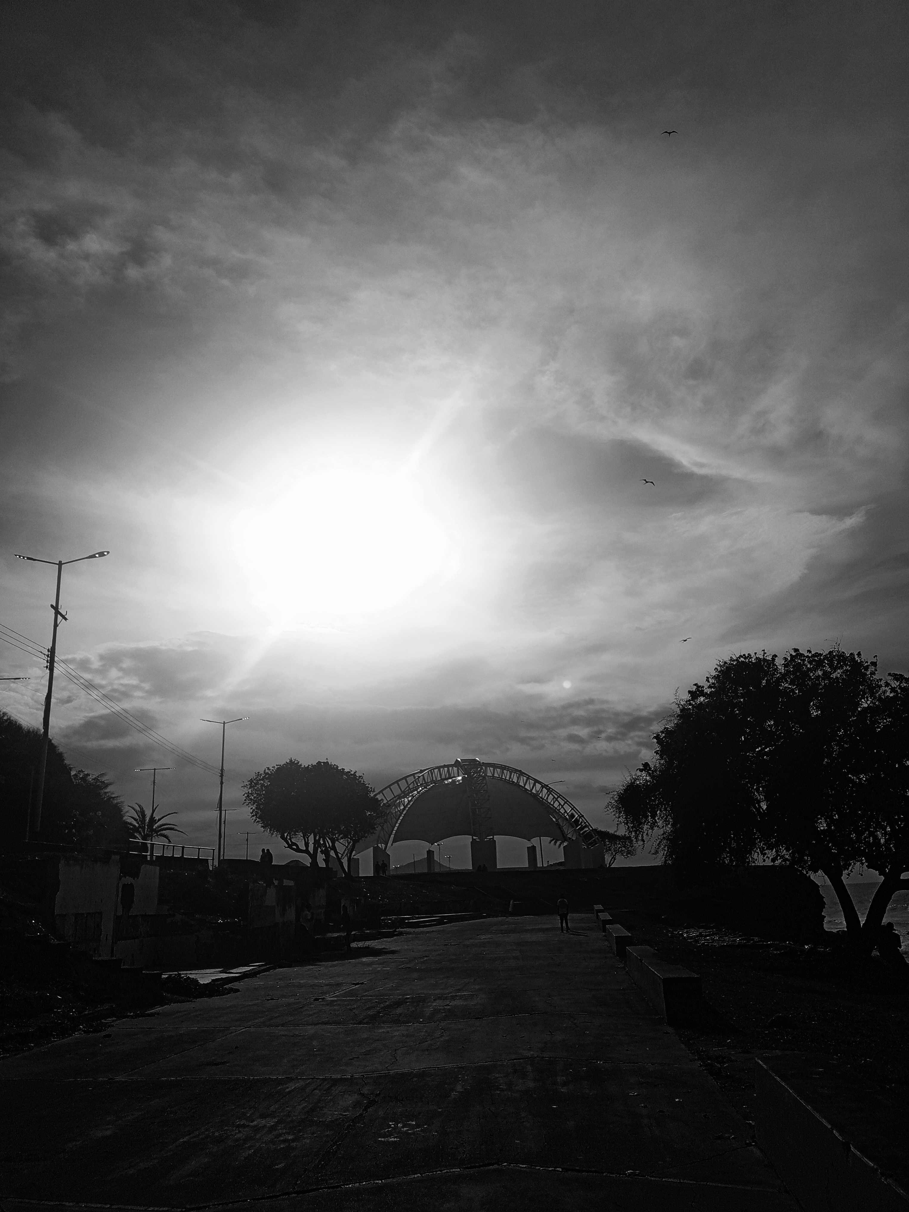 IMG_20250405_164754_490 (1).jpg