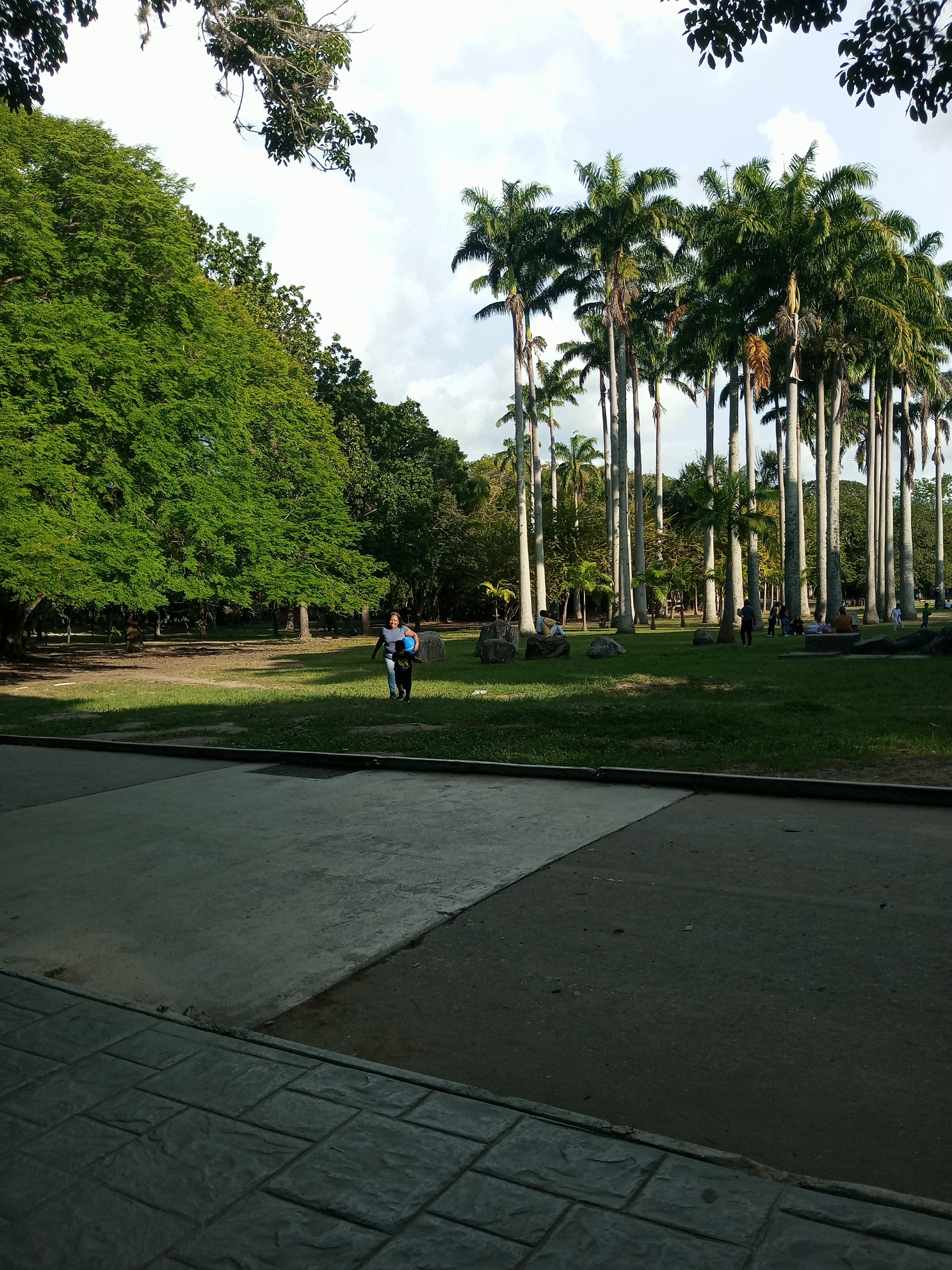 IMG_20250801_172134_532.jpg