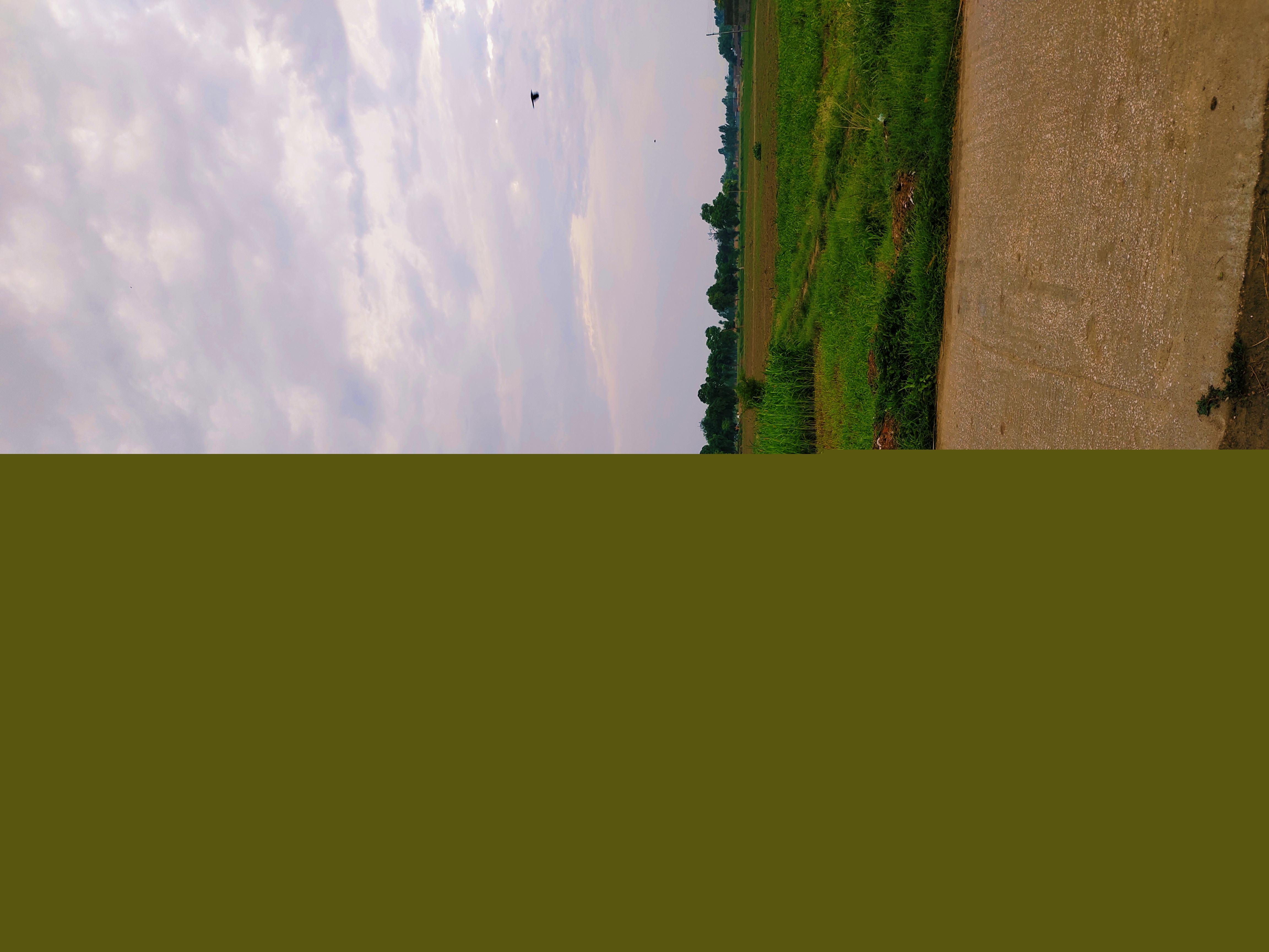 IMG_20220731_184751.jpg