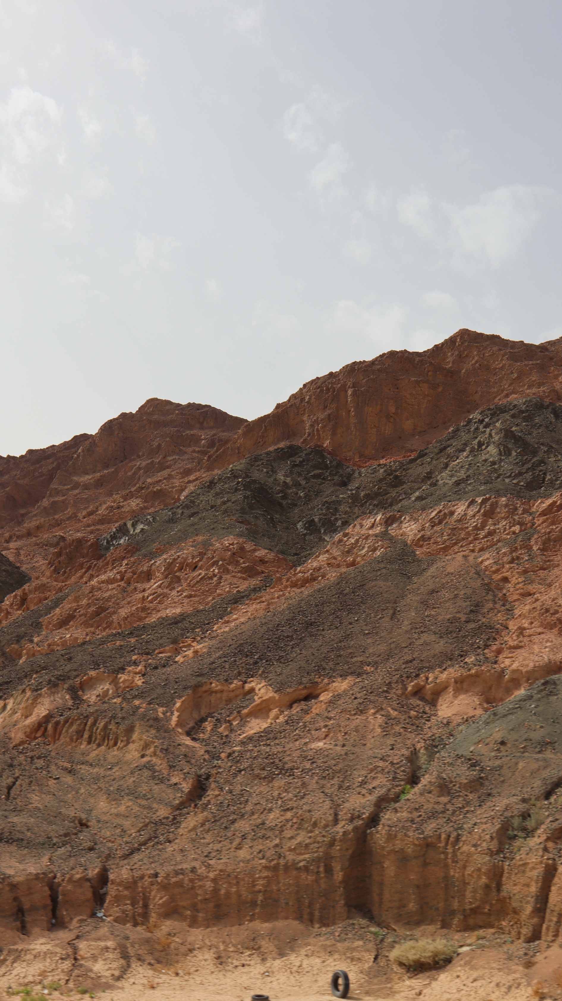 IMG_0123_copy_1891x3368.jpg