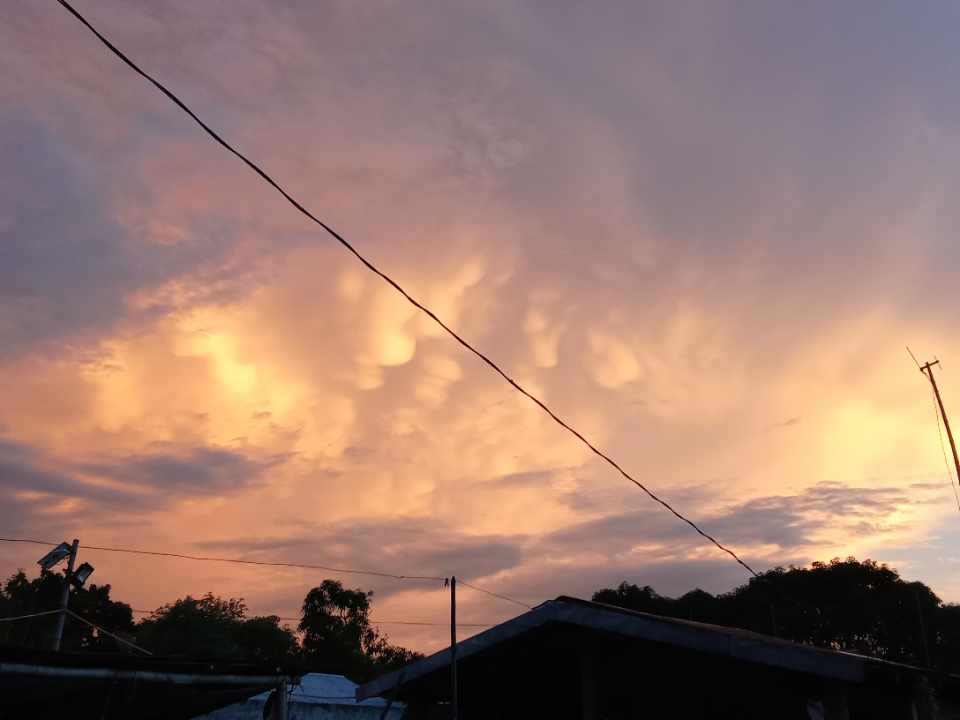 https://images.hive.blog/DQmcCrG2S4SCCkU23wfgHsDFHPCgeWFa6JHRZWtdWjj7Btn/received_9695479467227054.jpeg