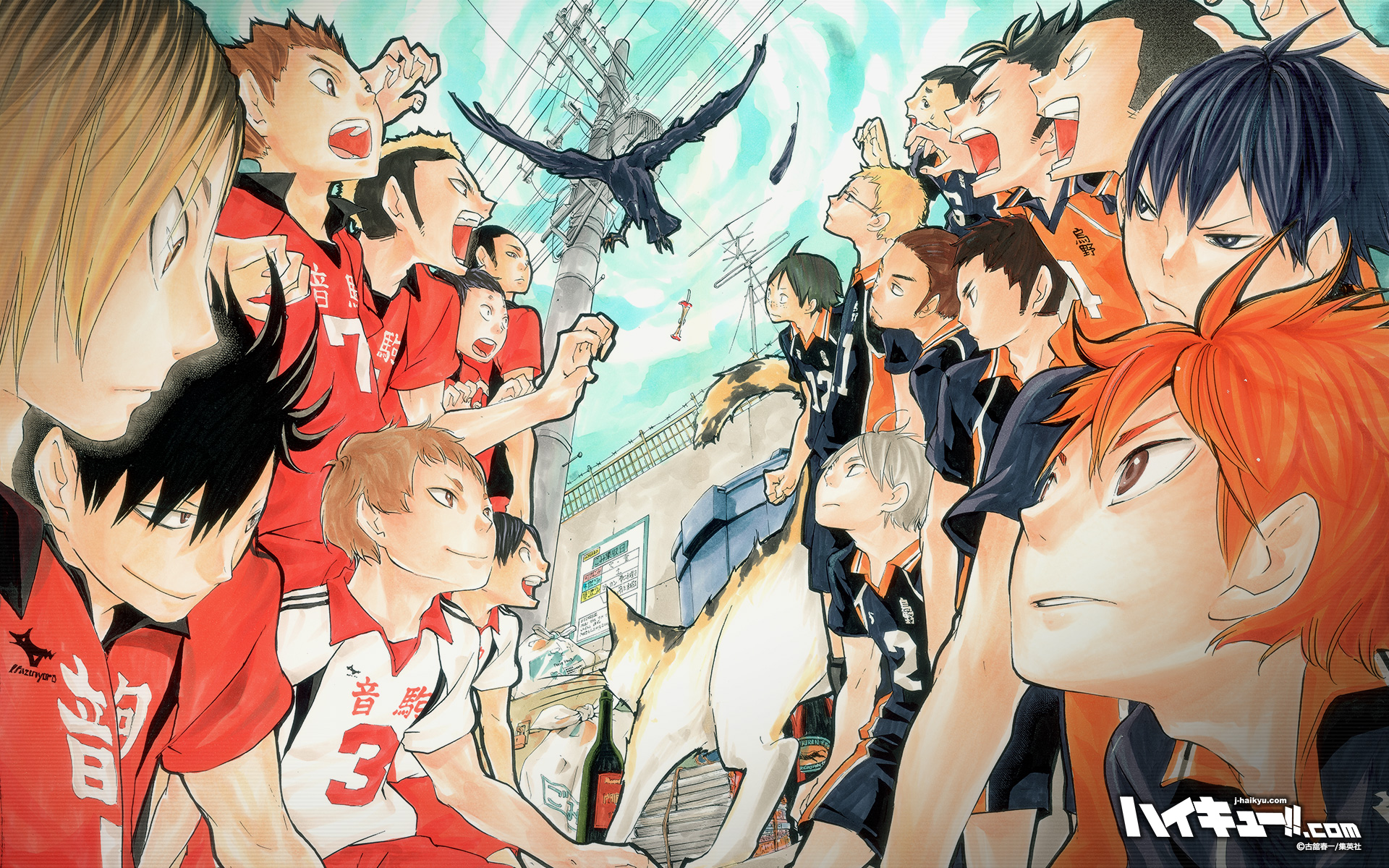 Haikyuu.full_.1627186.jpg