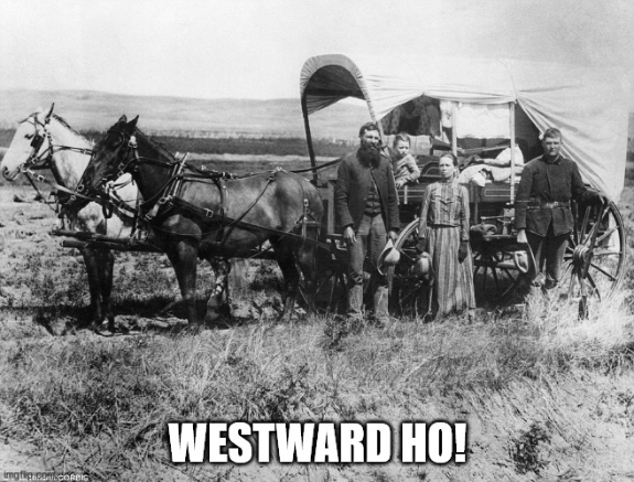 Screenshot_2020-08-13 Pioneer Wagon Meme Generator - Imgflip.png