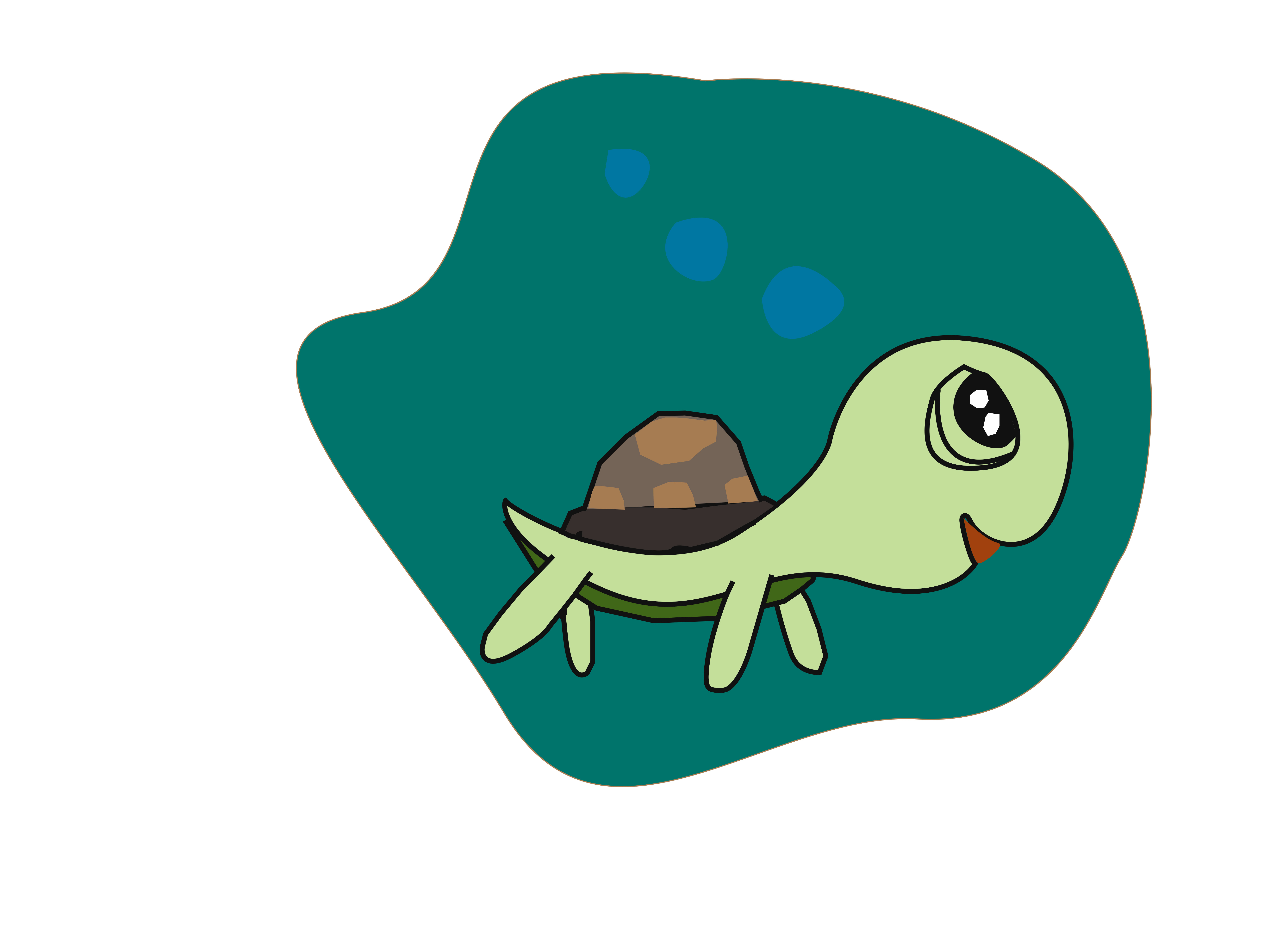 Troy the Turtle.jpg