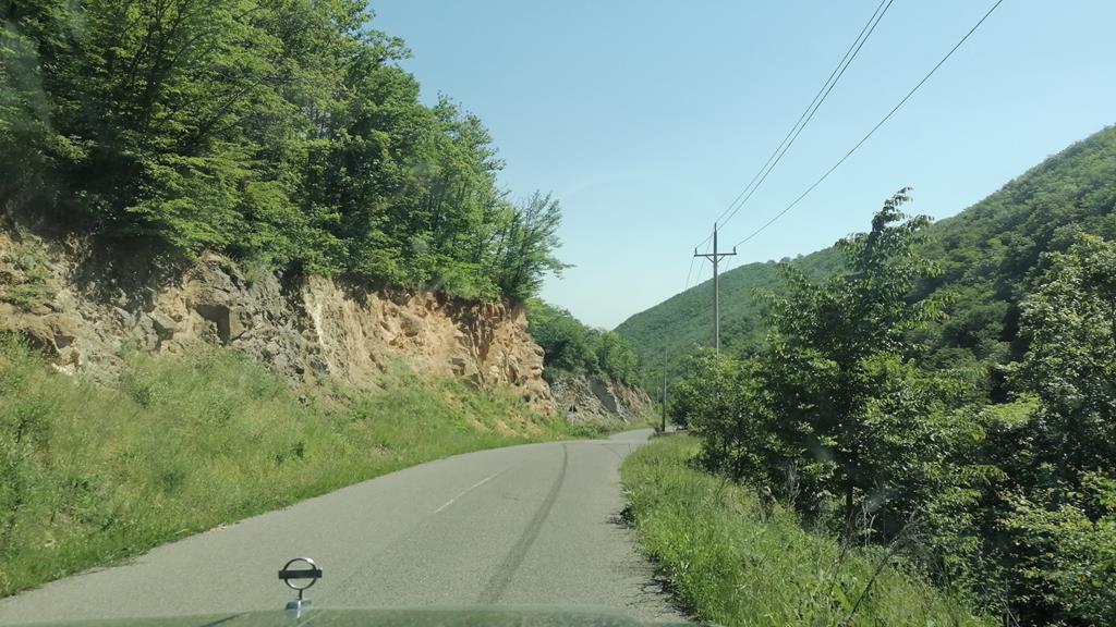 IMG_20250531_093442.jpg