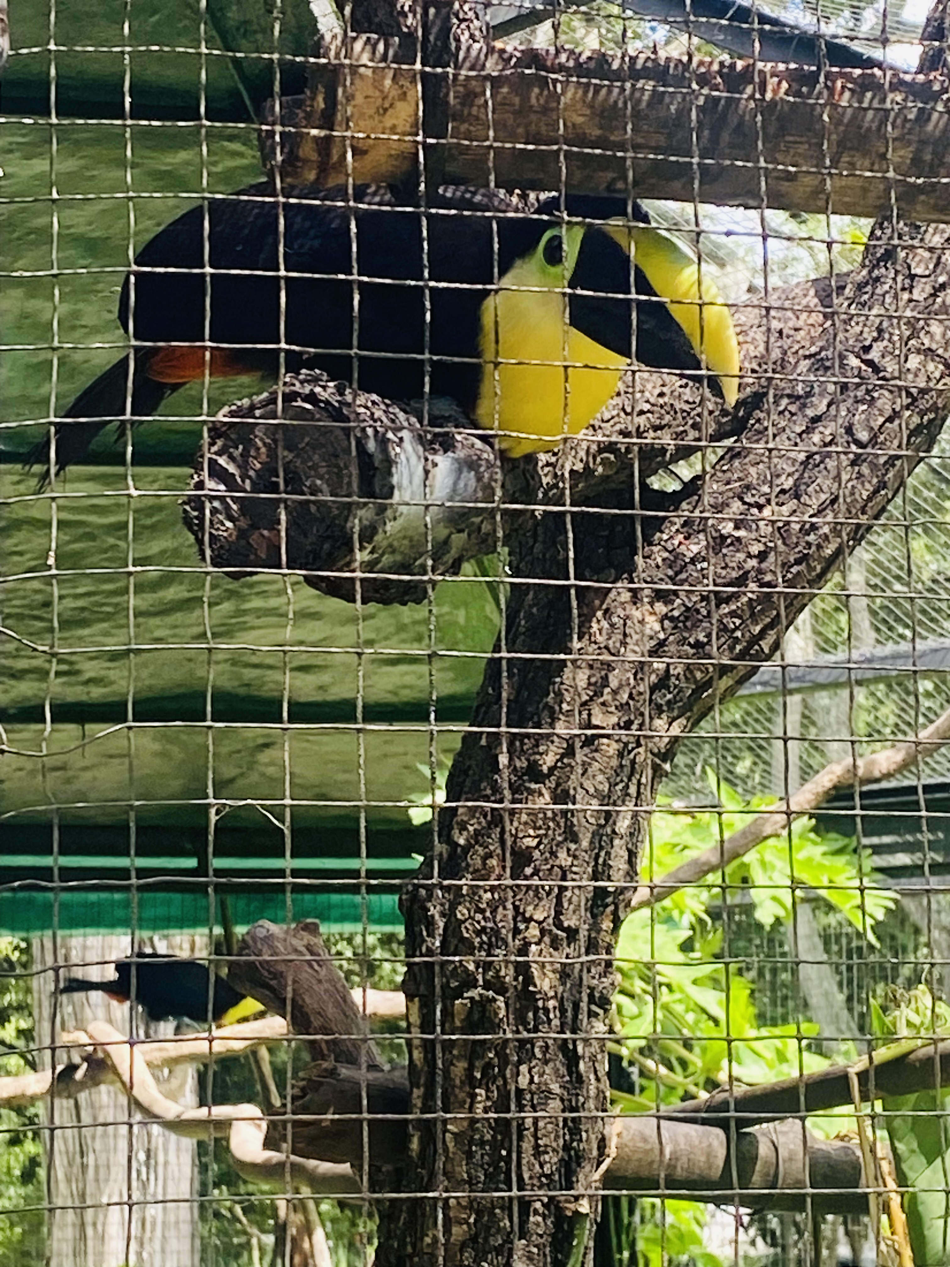 IMG_8975_Original.jpeg