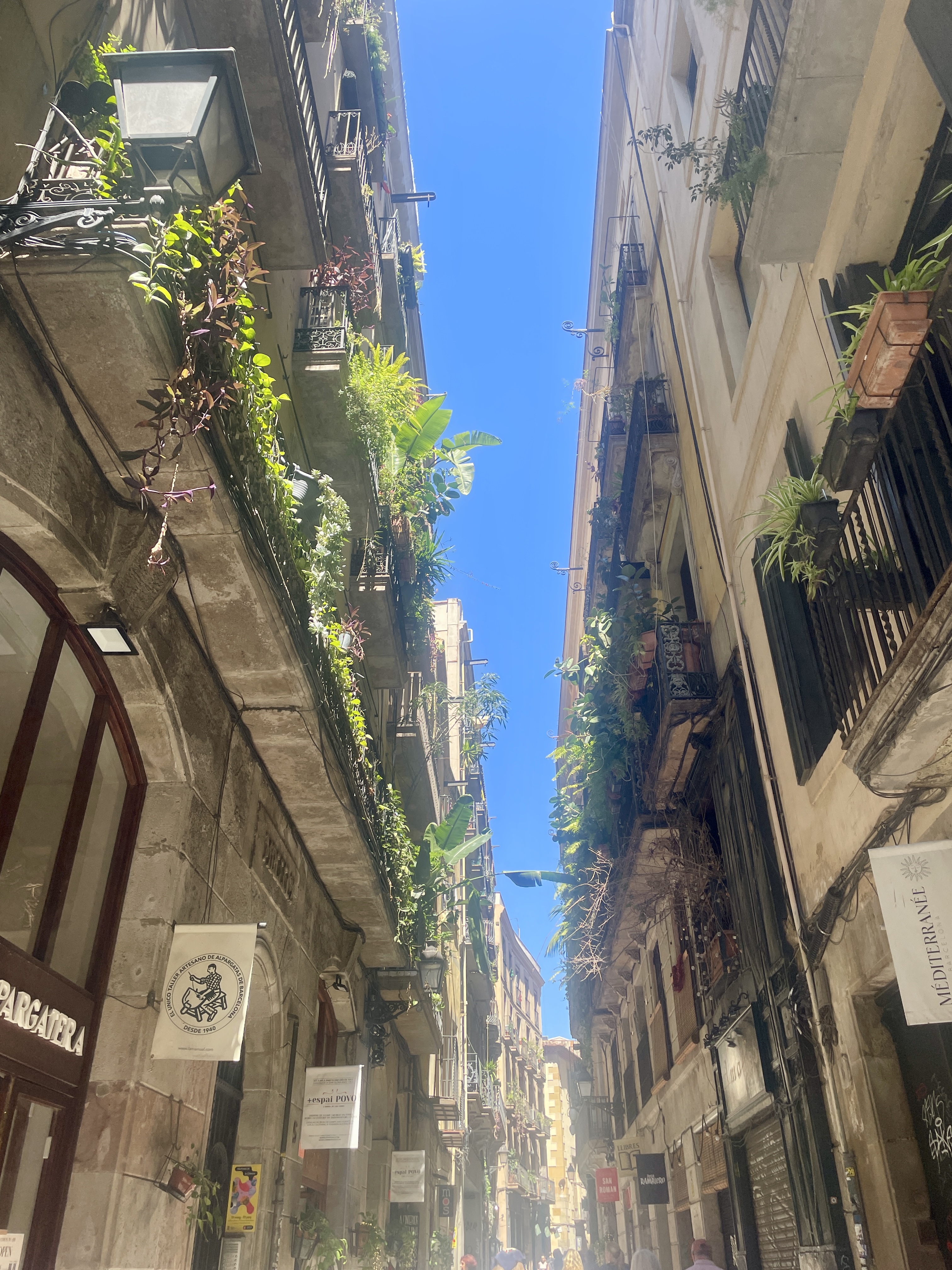 IMG_5398.jpeg