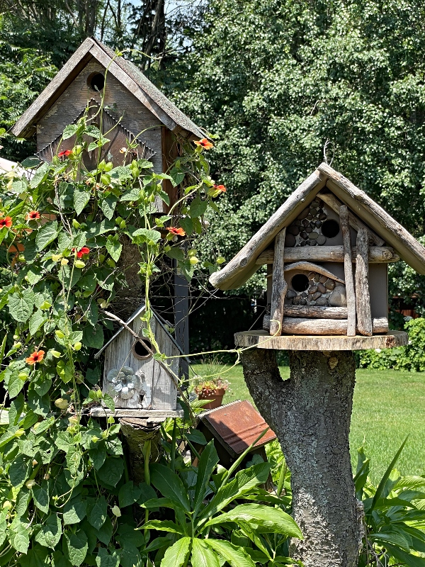 birdhouses.jpg