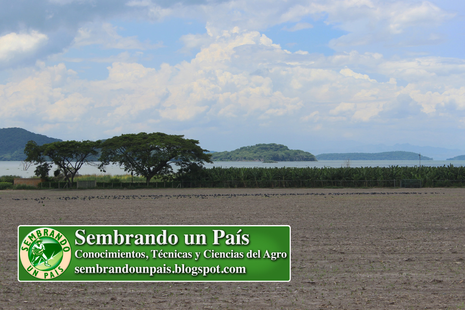 Venezuela Agropecuaria 4 NVO BANNER.jpg