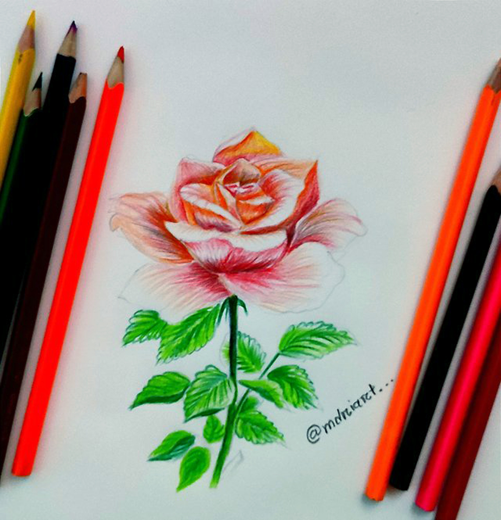 45 Beautiful and Simple Flower Drawings - Pencil Drawings