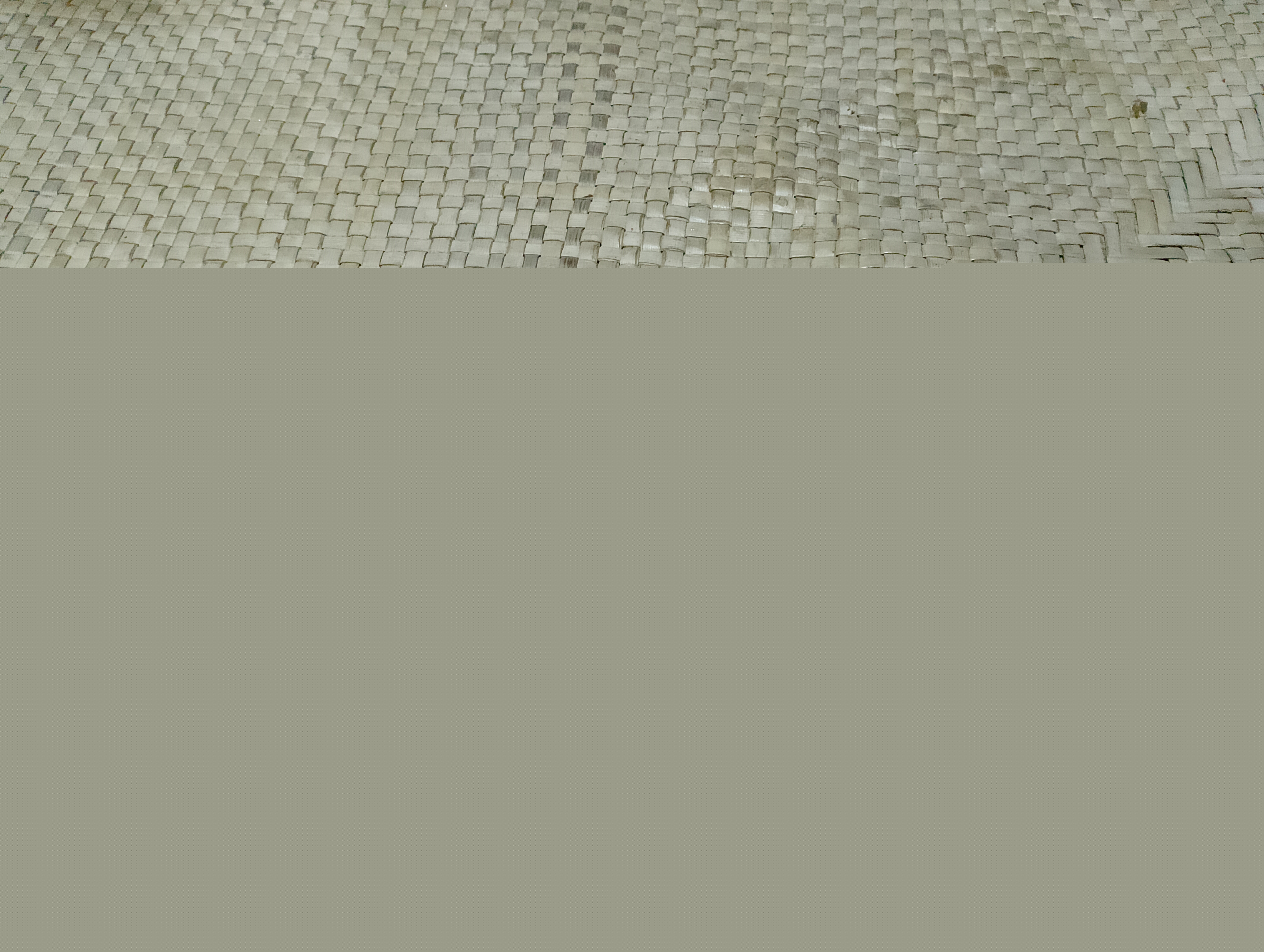 IMG_20250403_190832.jpg