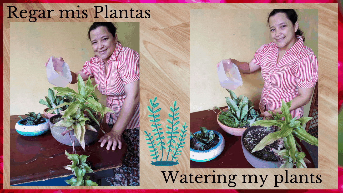 Watering my plants.gif