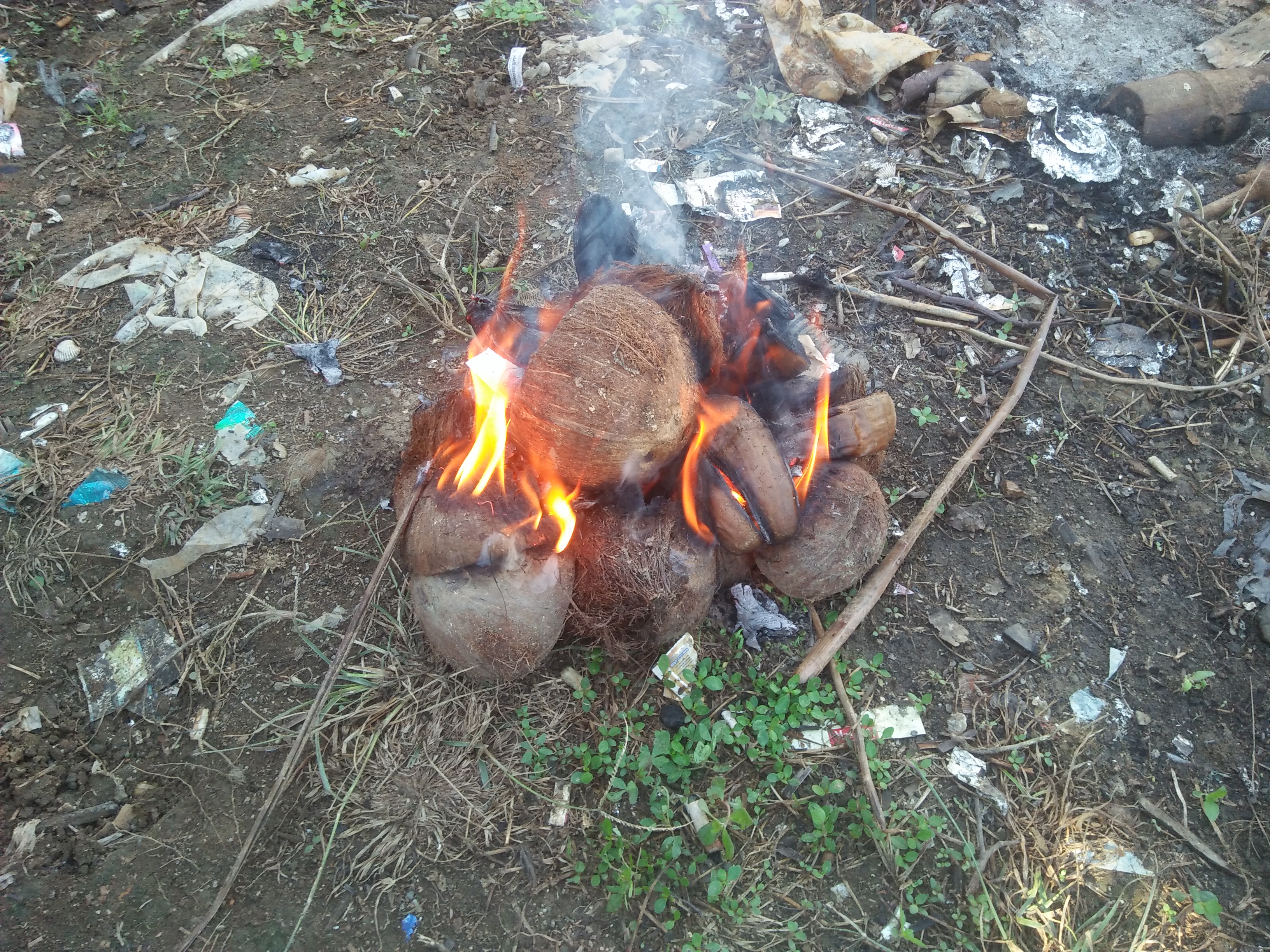 IMG20250423083903.jpg