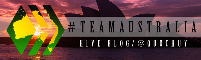 team-australia-hive-badge-slim-opera-quochuy.png