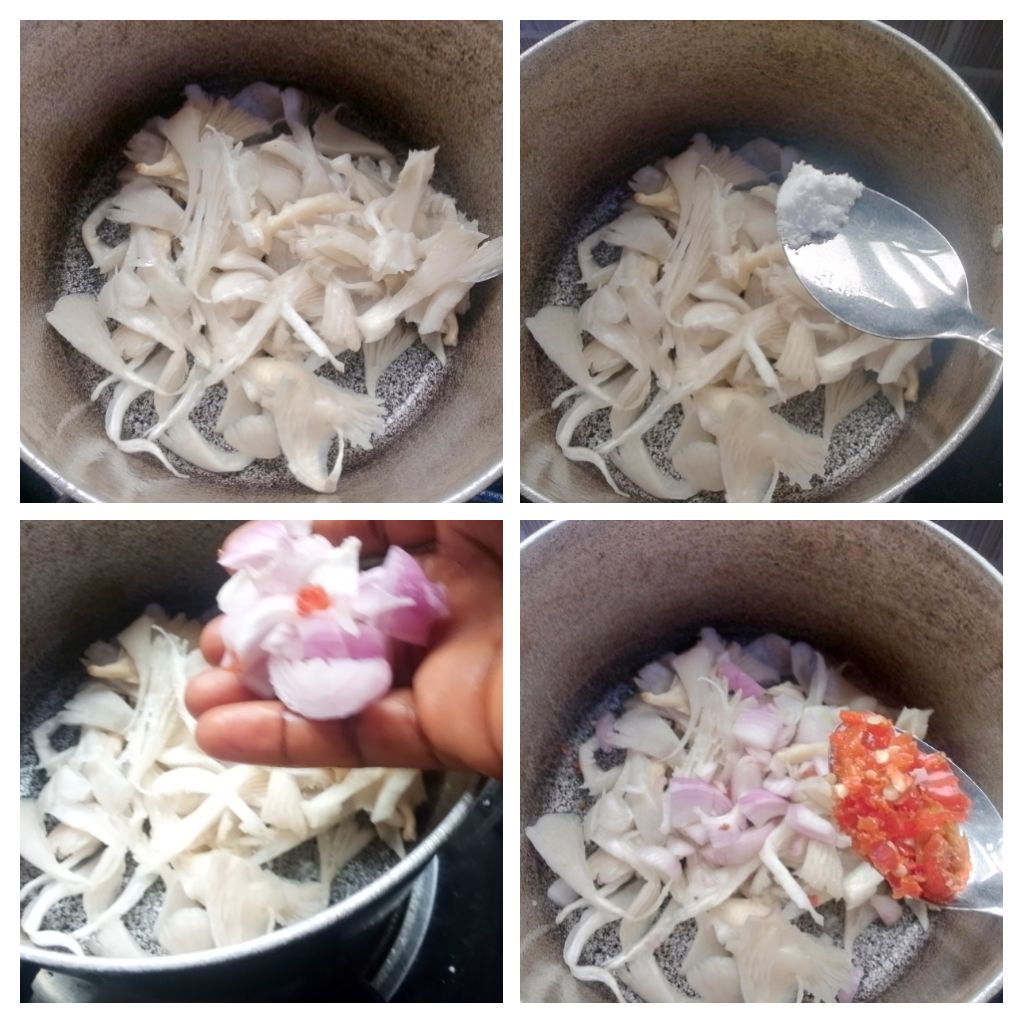 IMG_20250817_212047-COLLAGE.jpg