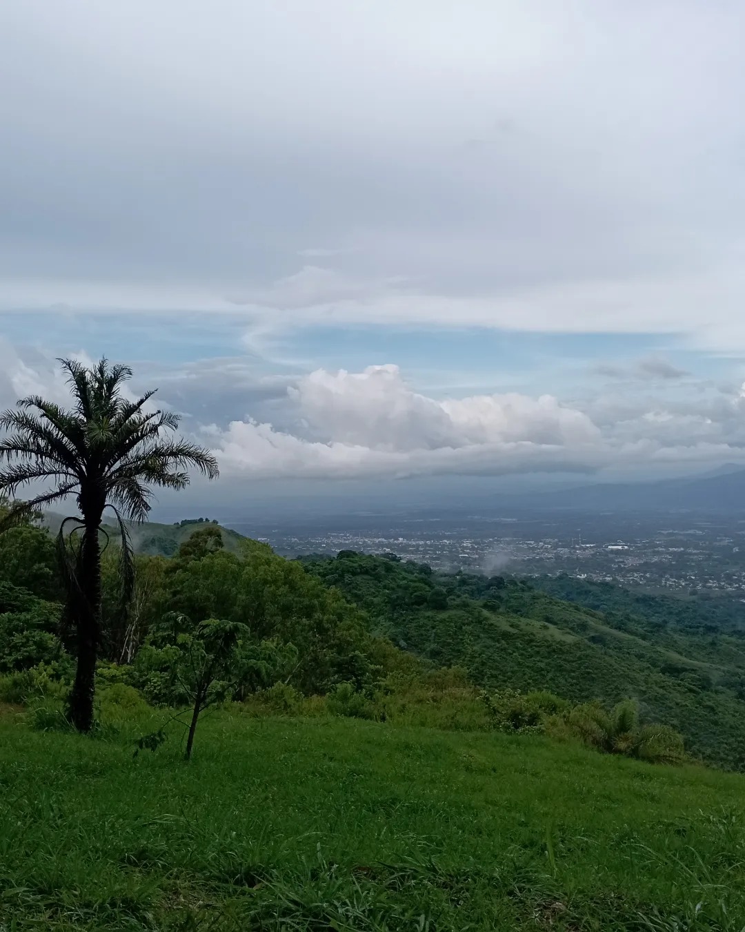 finca la pantalla, en cocorote 9.jpg