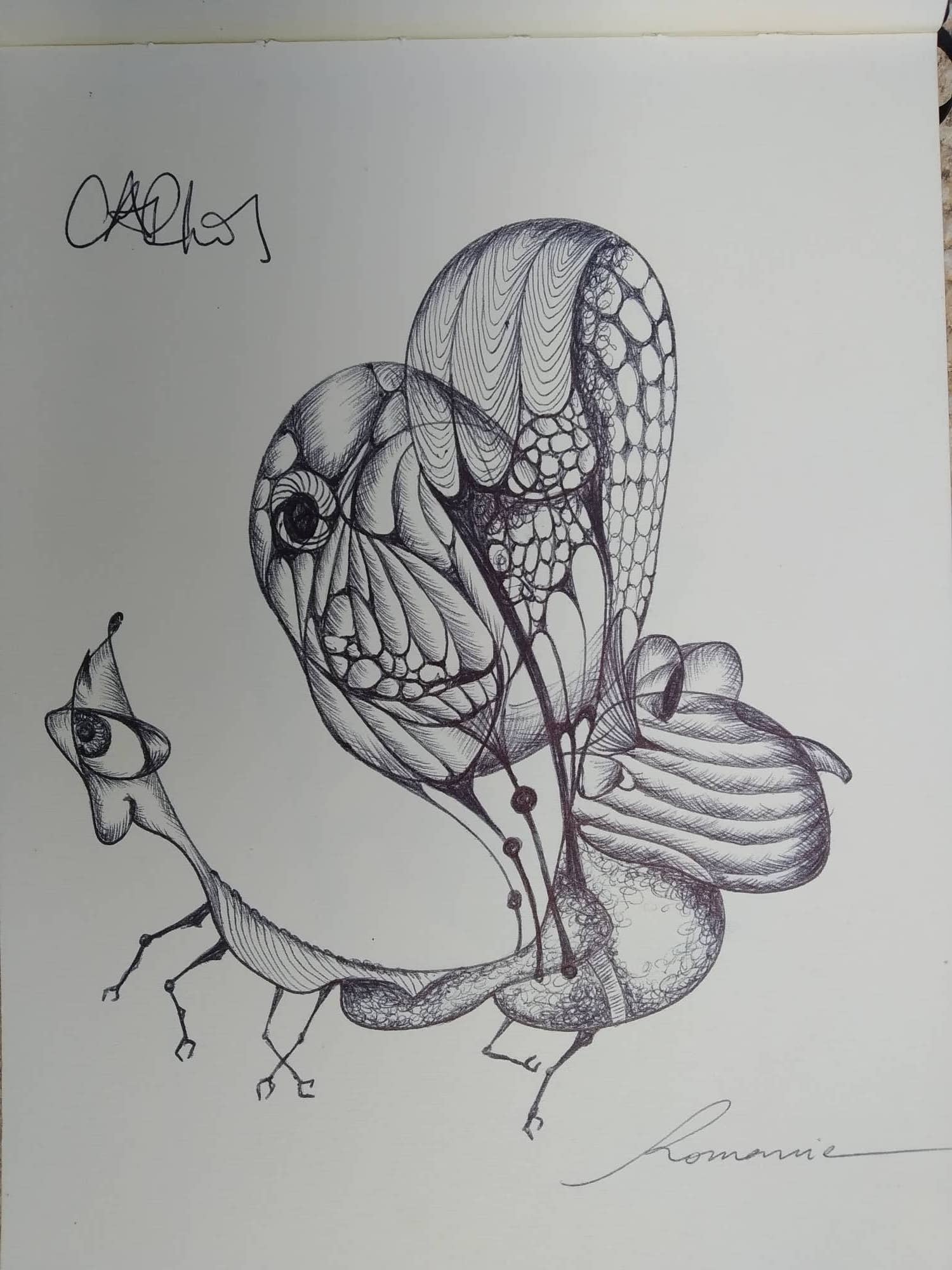 dibujo283B.jpg