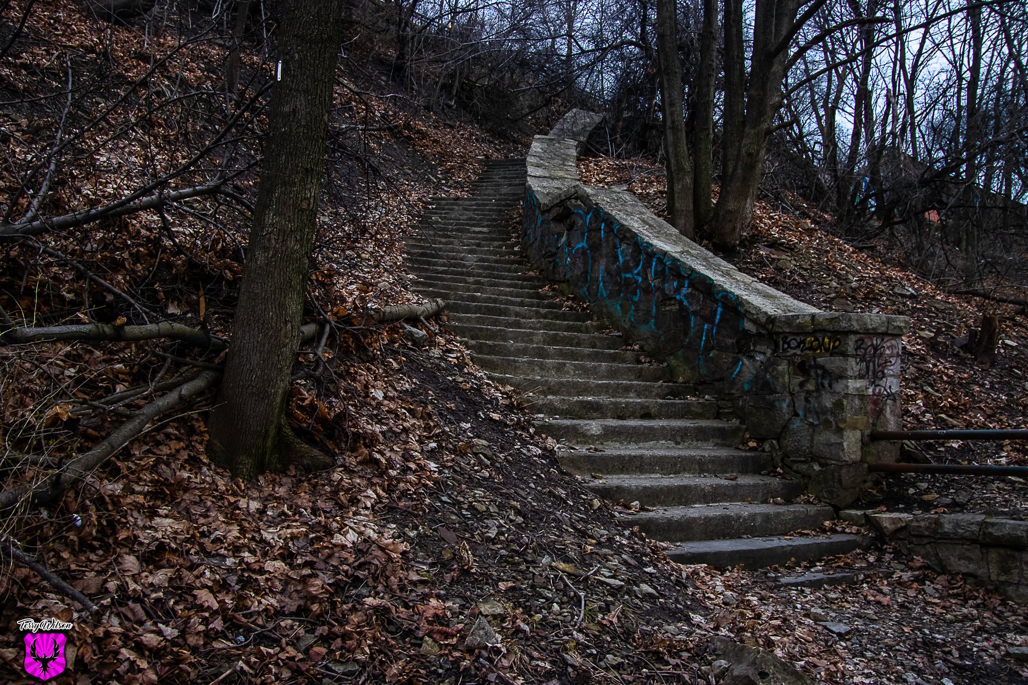 d289750c-5c19-441e-9b2e-be1f62859c24.jpg