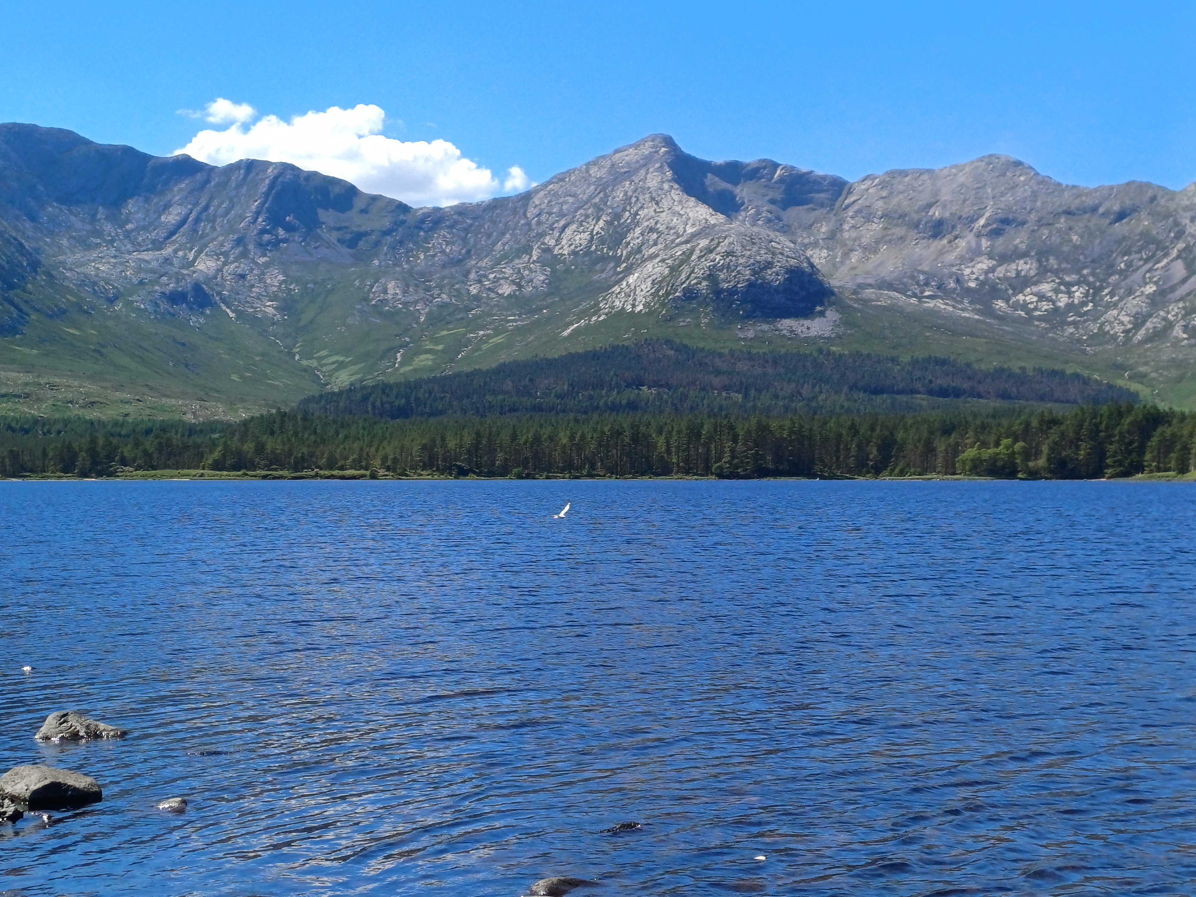 20250518_143533.jpg