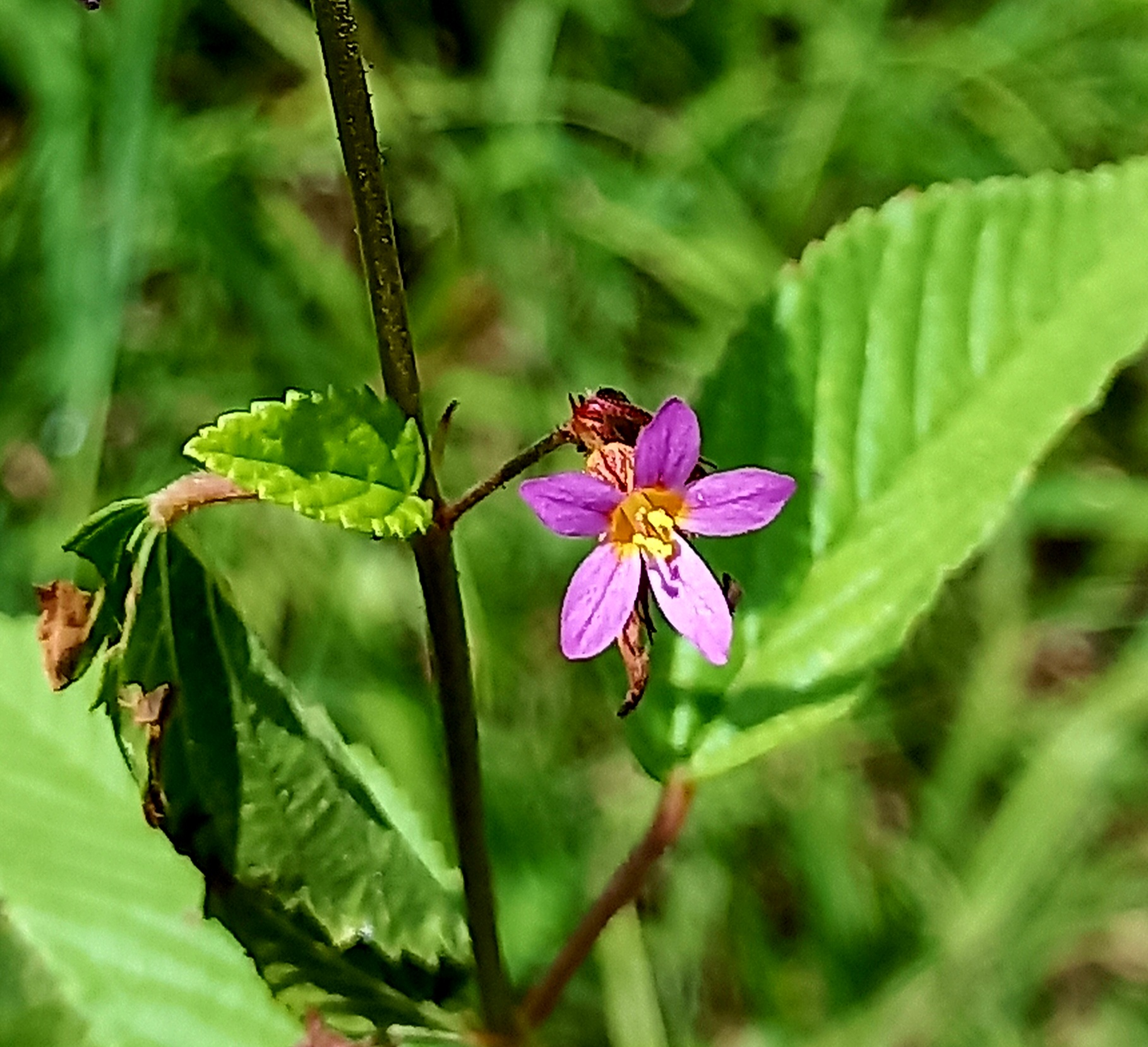 20220906_112034.jpg