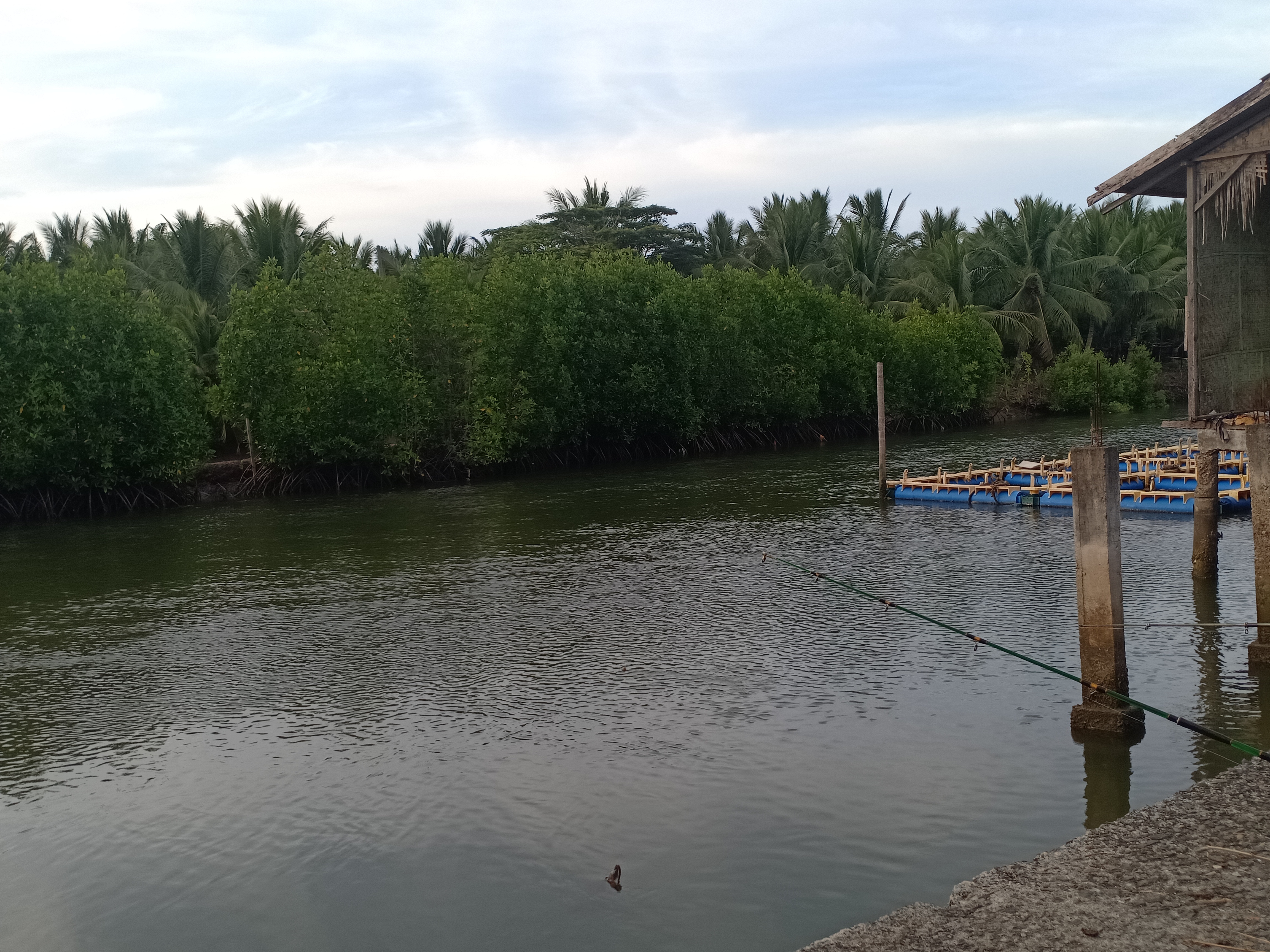 IMG20250220175909.jpg