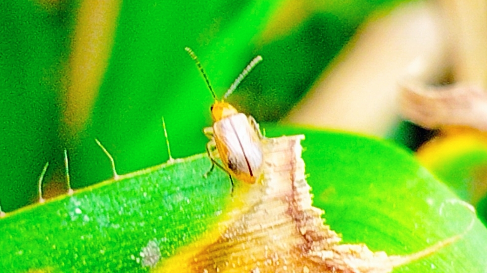 BeautyPlus_20250803185246944_save.jpg