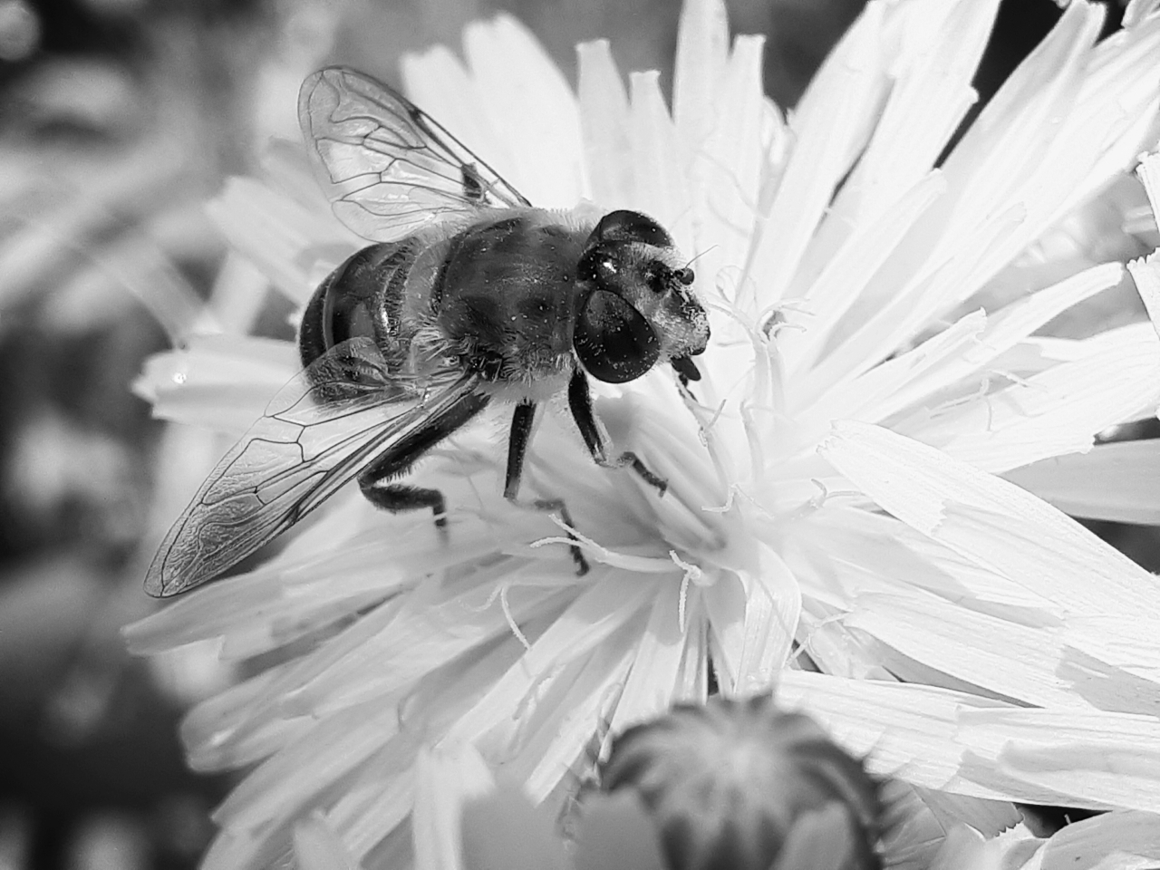 20230529_121832_bw.jpg