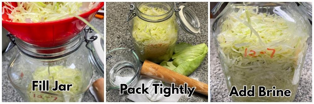 fermenting-cabbage-sauerkraut-1.jpg