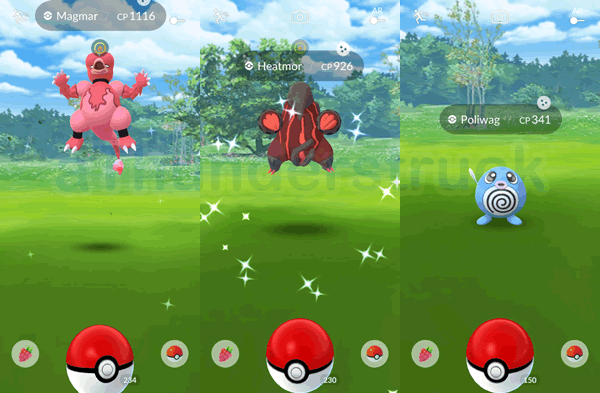 https://images.hive.blog/DQmcKyjRiK5r5poDVzPpELSyP7MXeYB1K4EsdE5h3D63n5o/Shiny%20during%20event.png