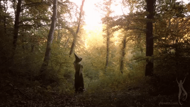a gentle calling by Priscilla Hernandez yidneth (1).gif
