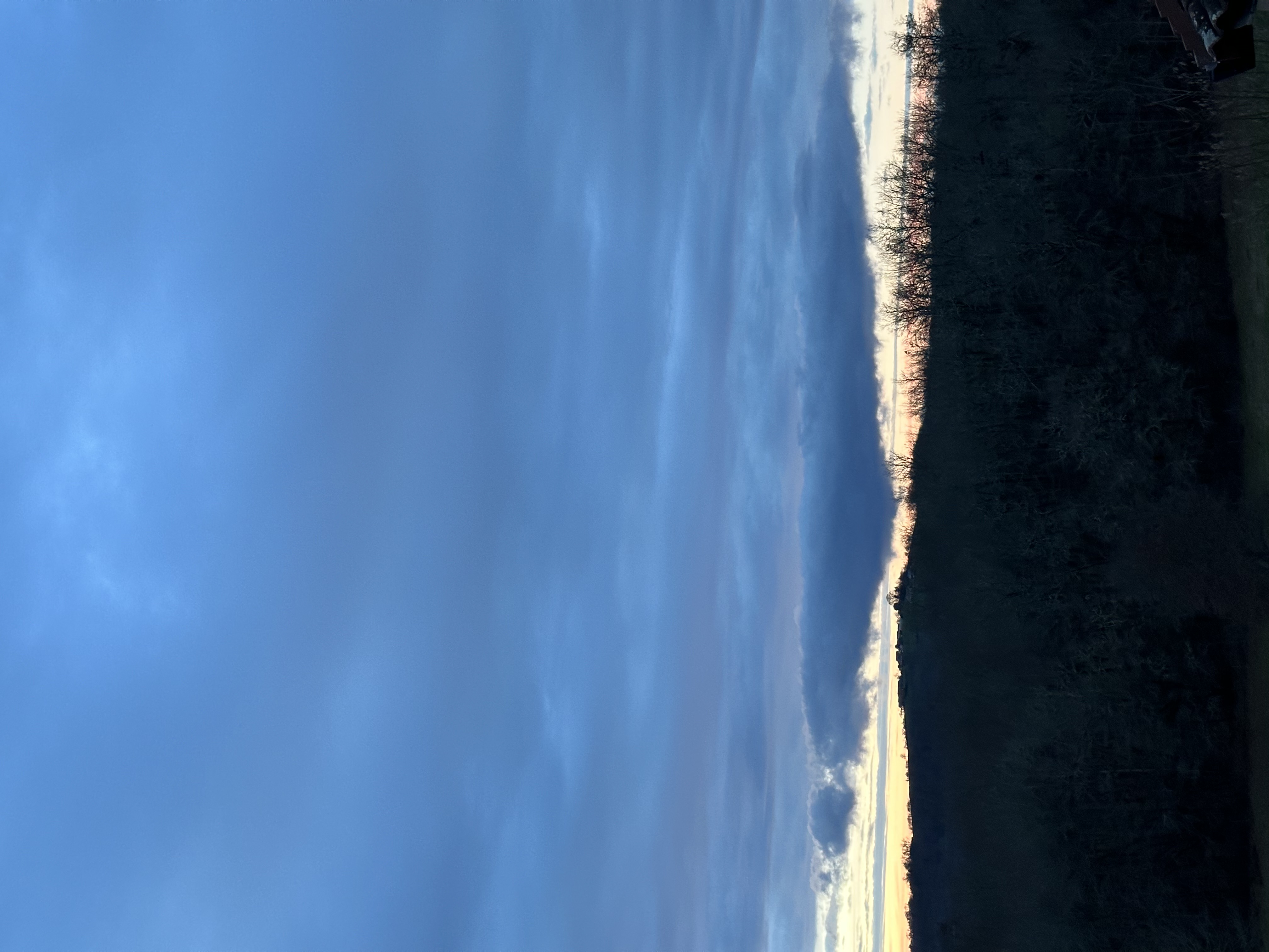 IMG_9079.jpeg