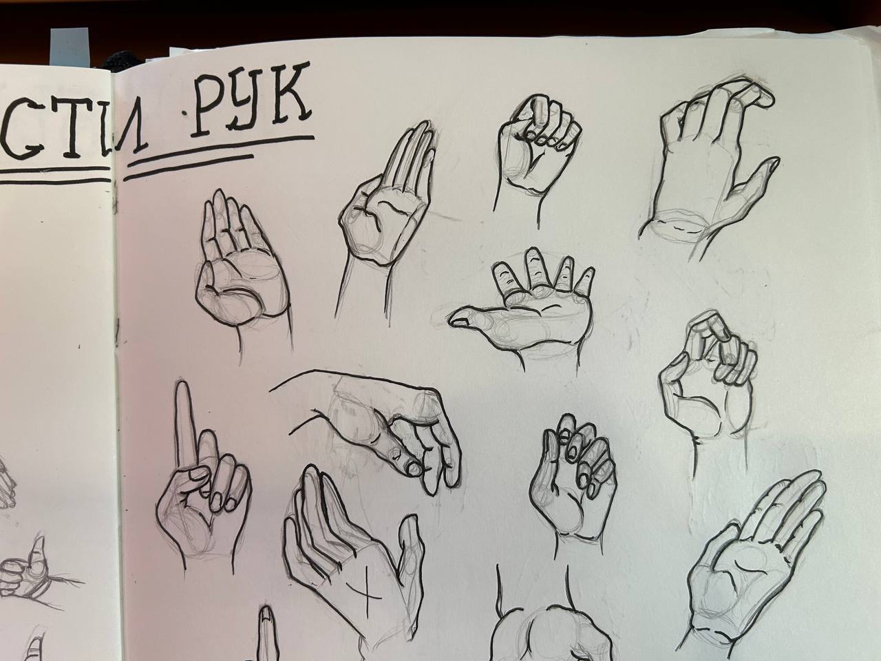Hand Drawing Reference - 100 Free Photos in Various Poses -