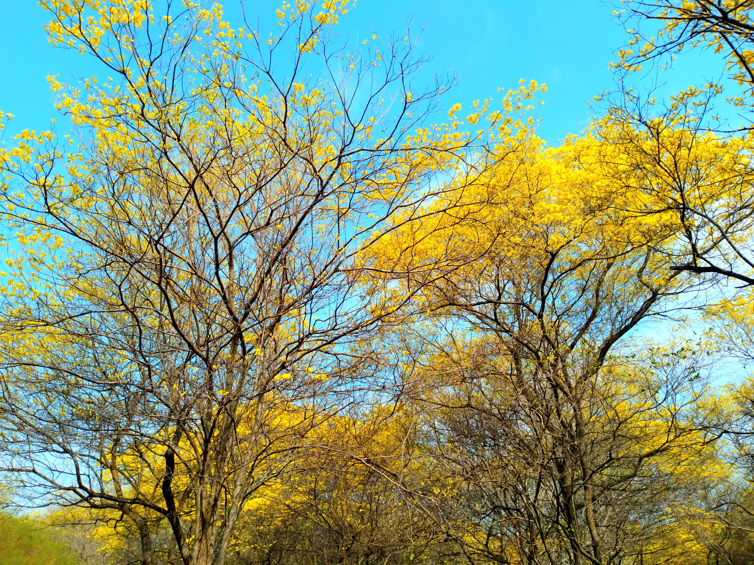 20250321_093237.jpg