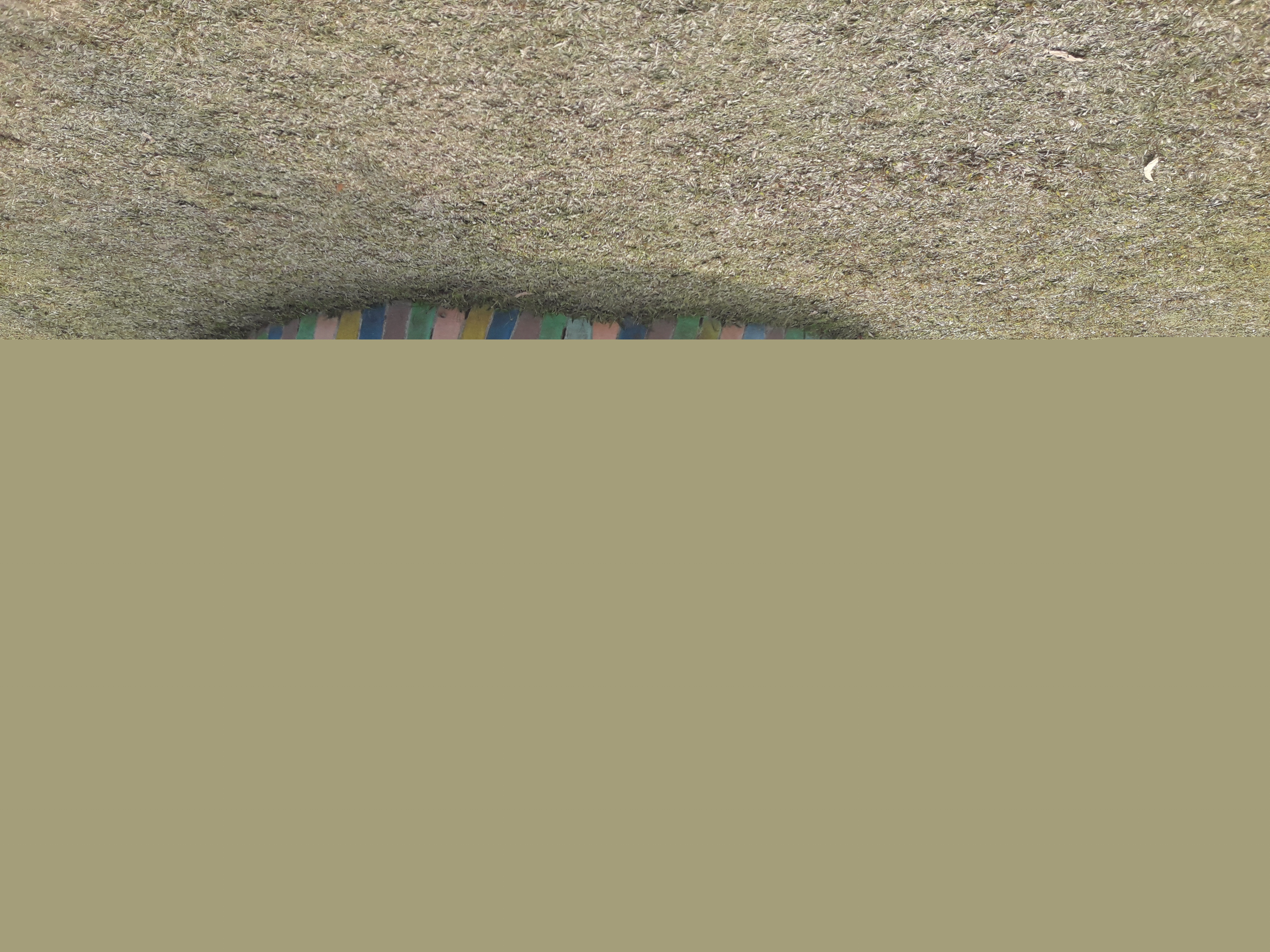 20230120_150526.jpg