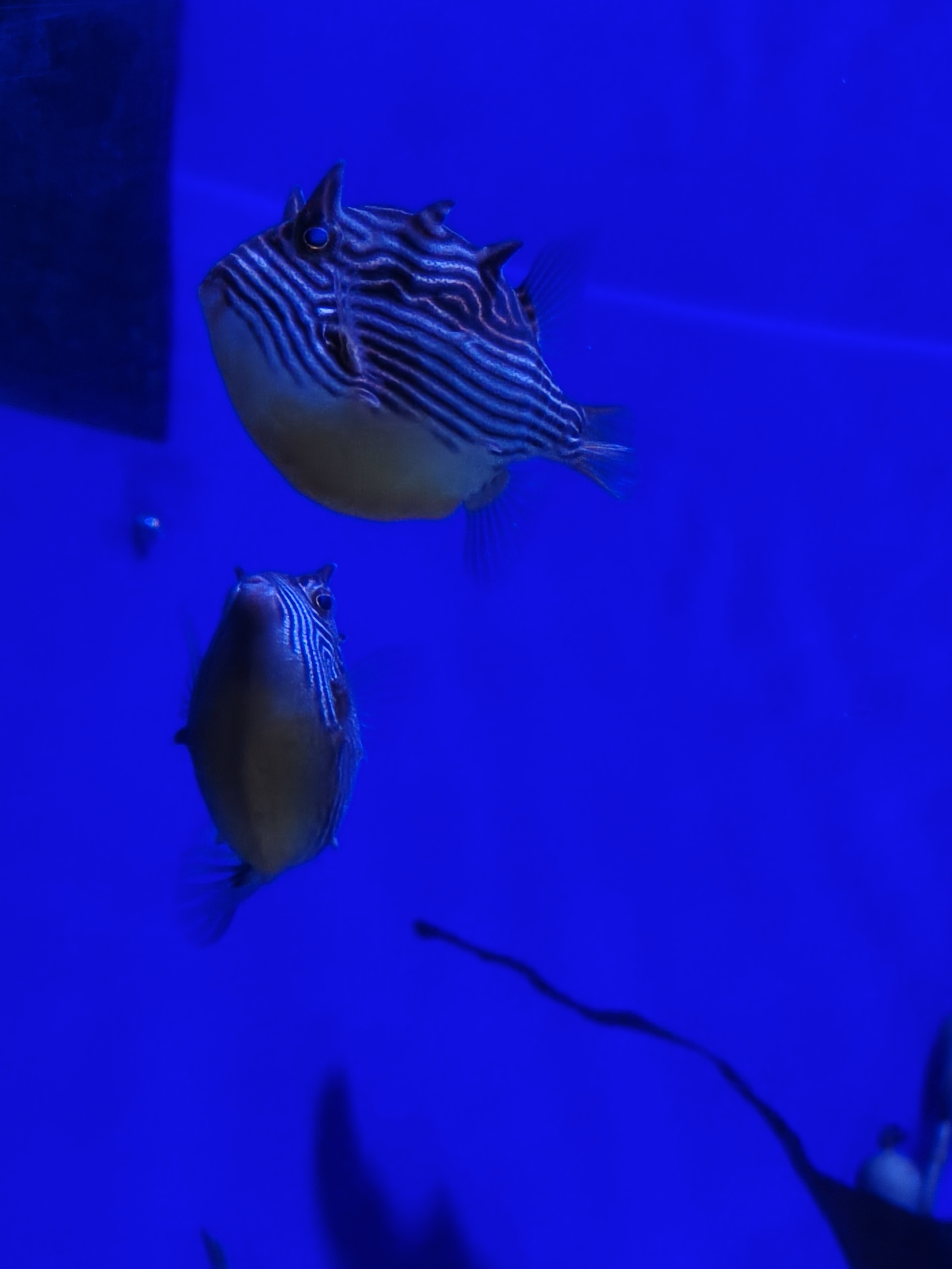 IMG20250629161311.jpg