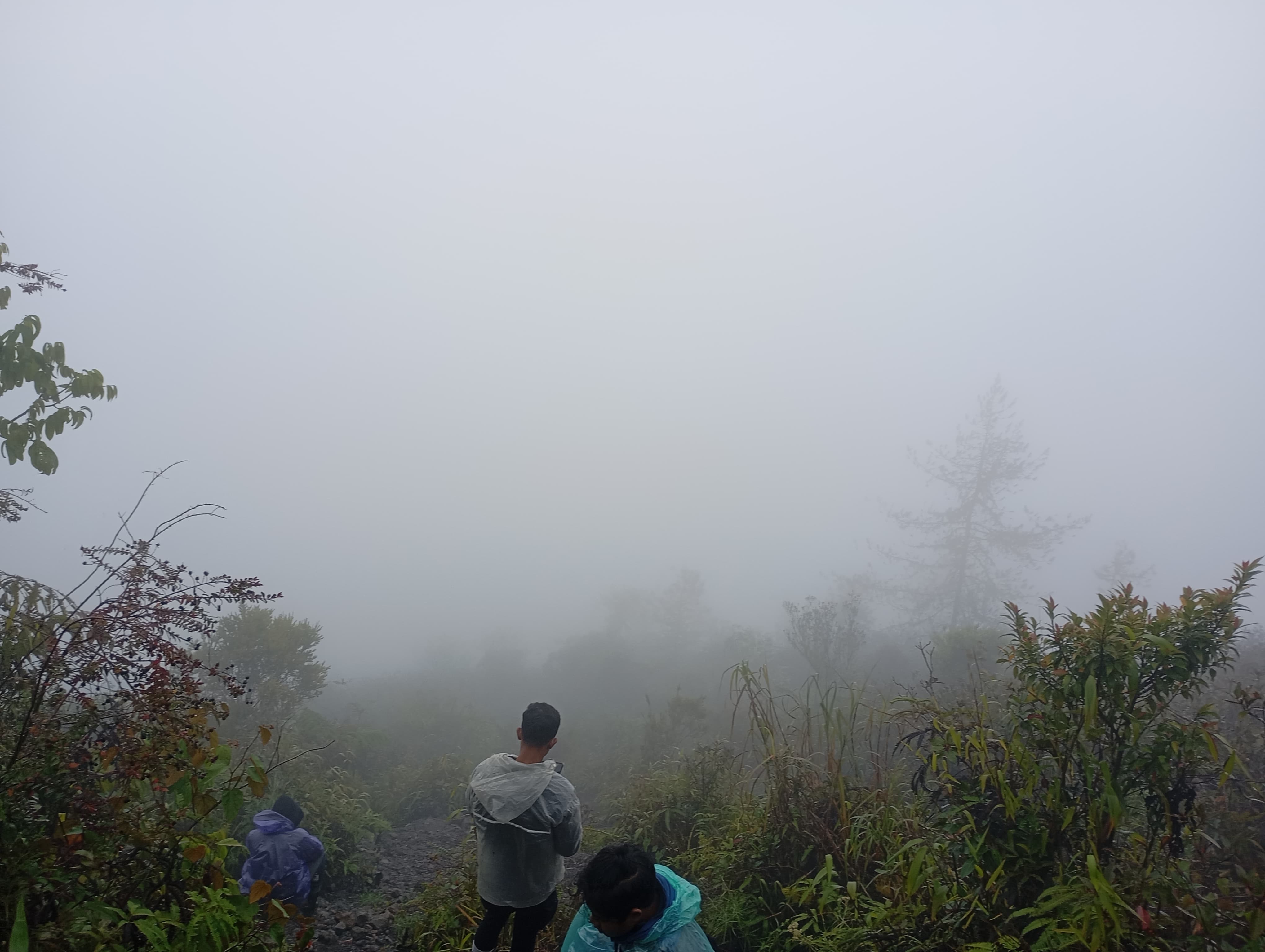 IMG-20250801-WA0032.jpg