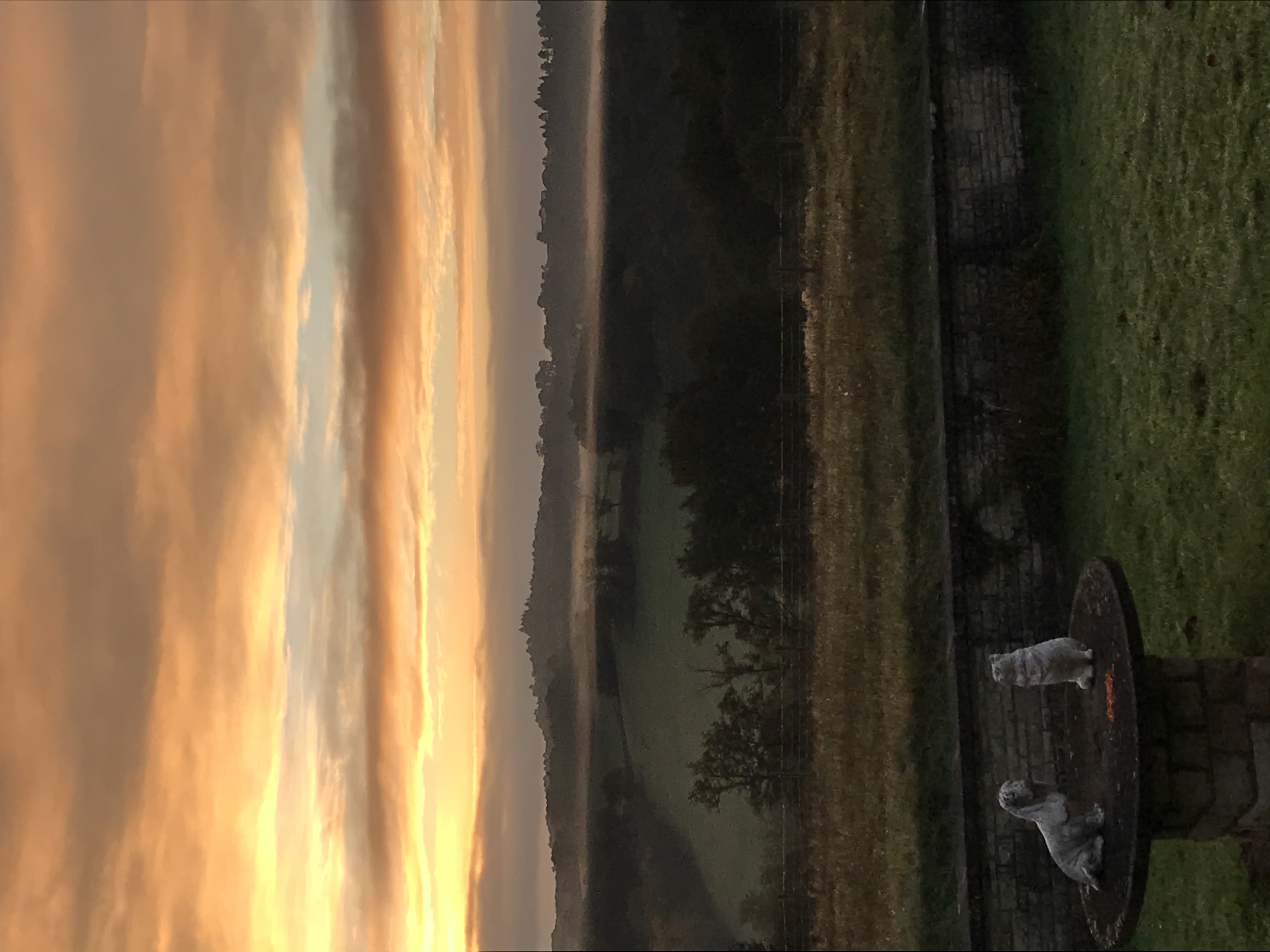 IMG_5930.jpeg