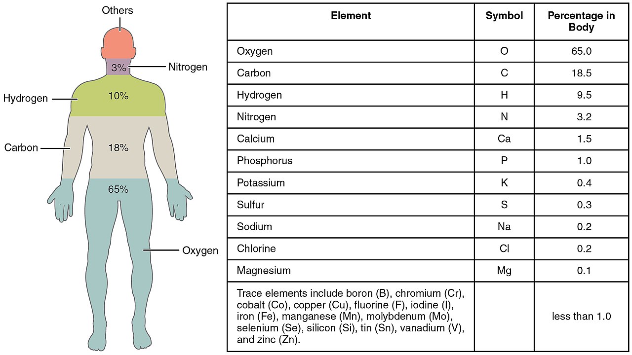 1280px-201_Elements_of_the_Human_Body-01.jpg