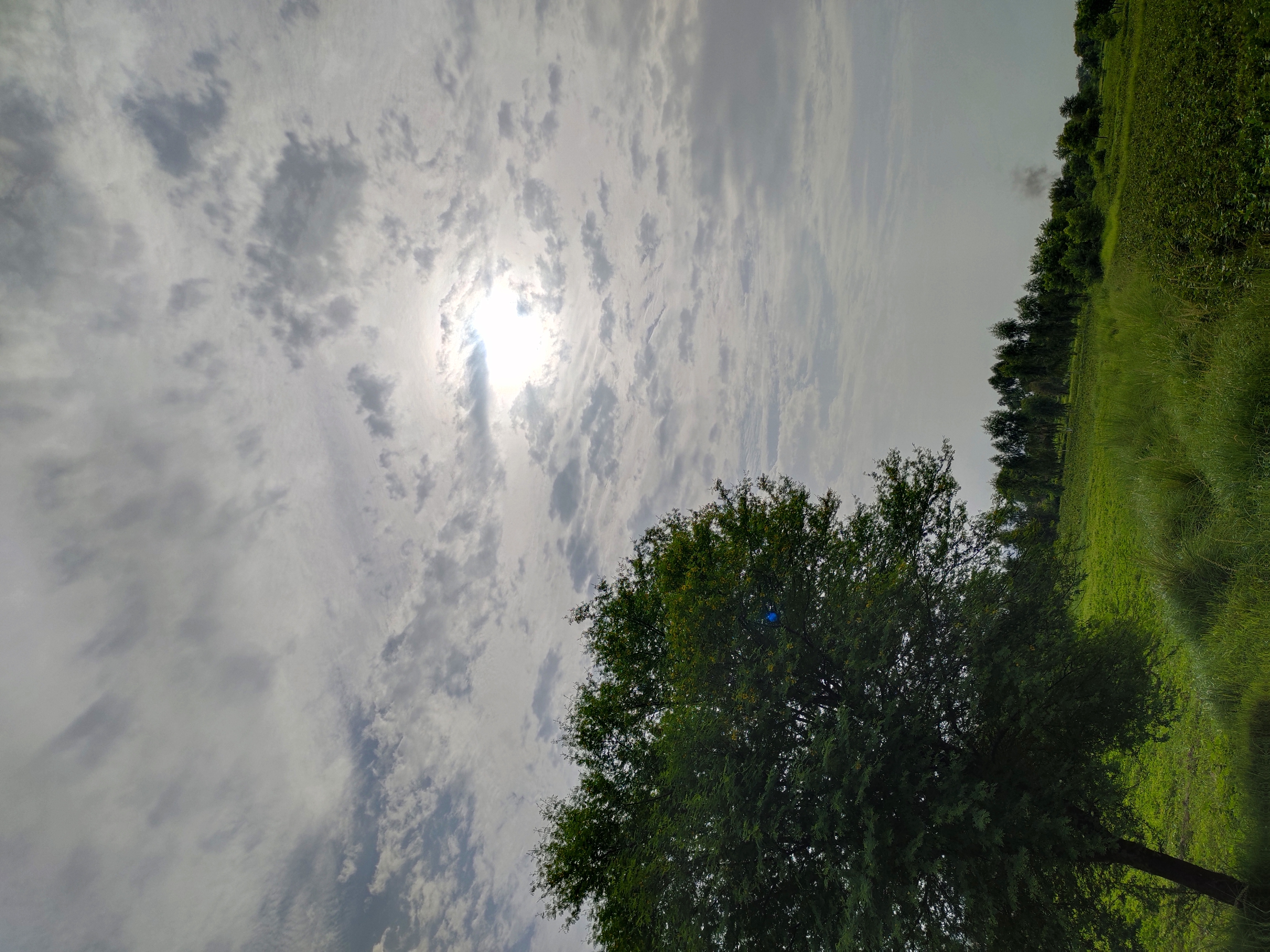 IMG_20220803_081003.jpg
