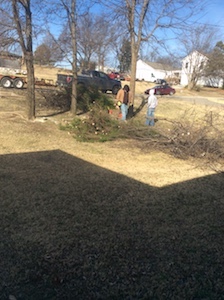 yard.JPG