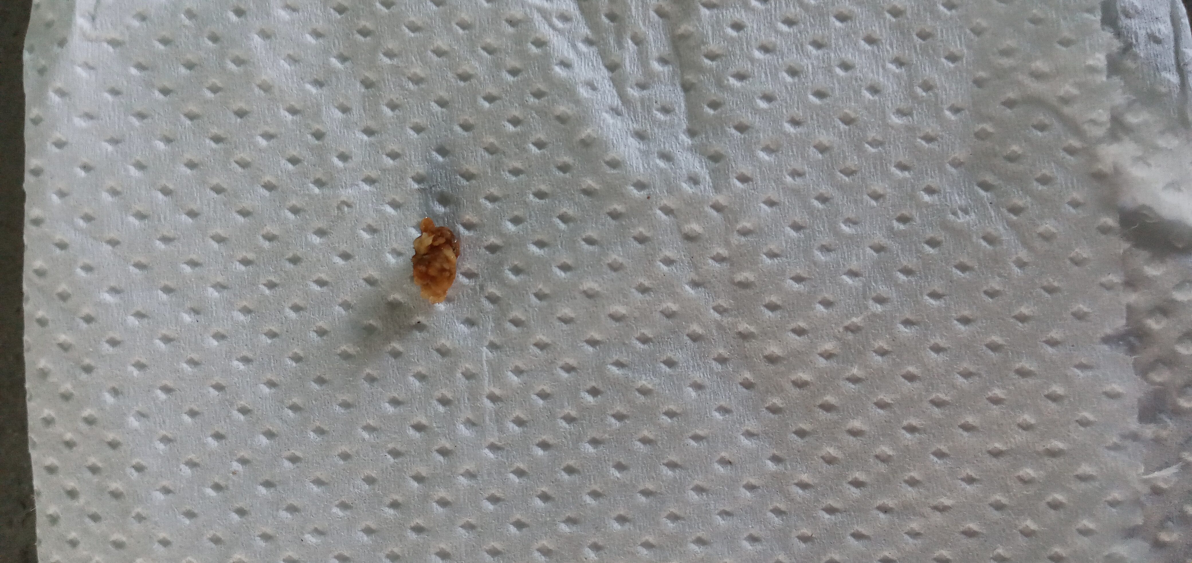 20250803_163729.jpg