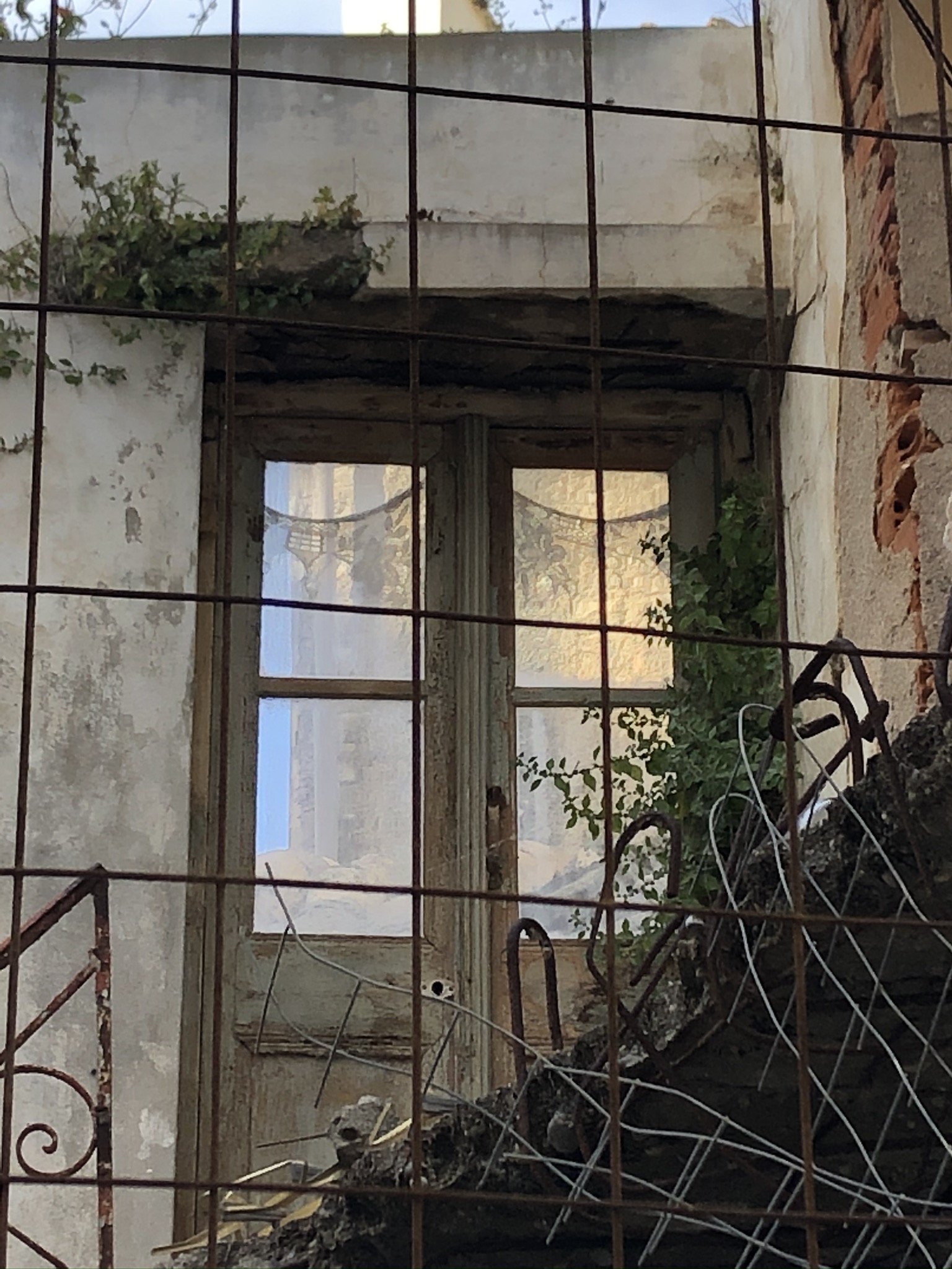 IMG_3953.JPEG