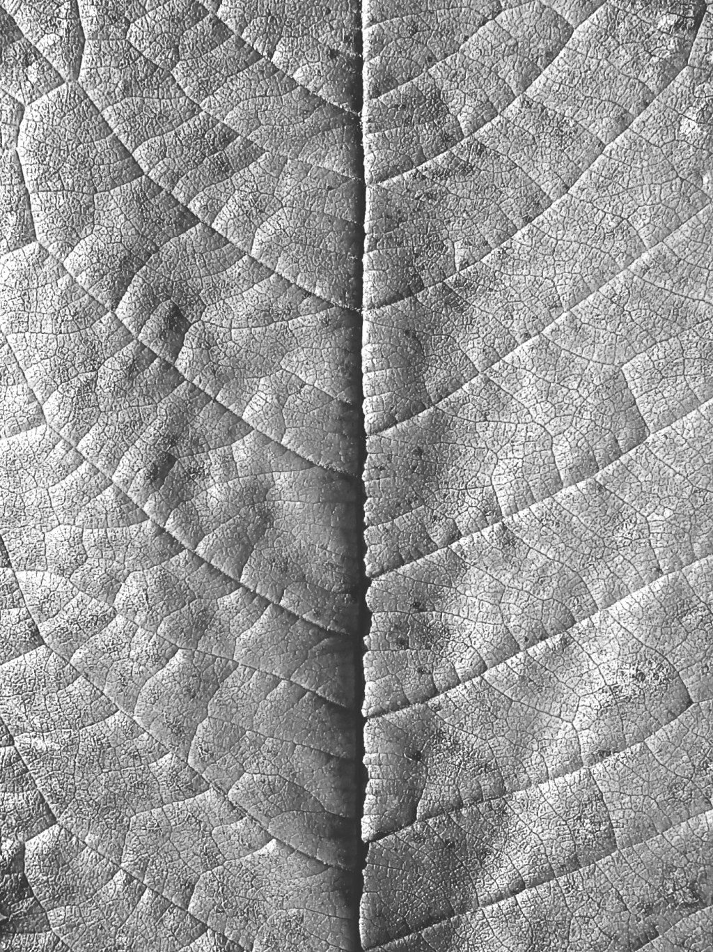 20181011_174223~7.jpg