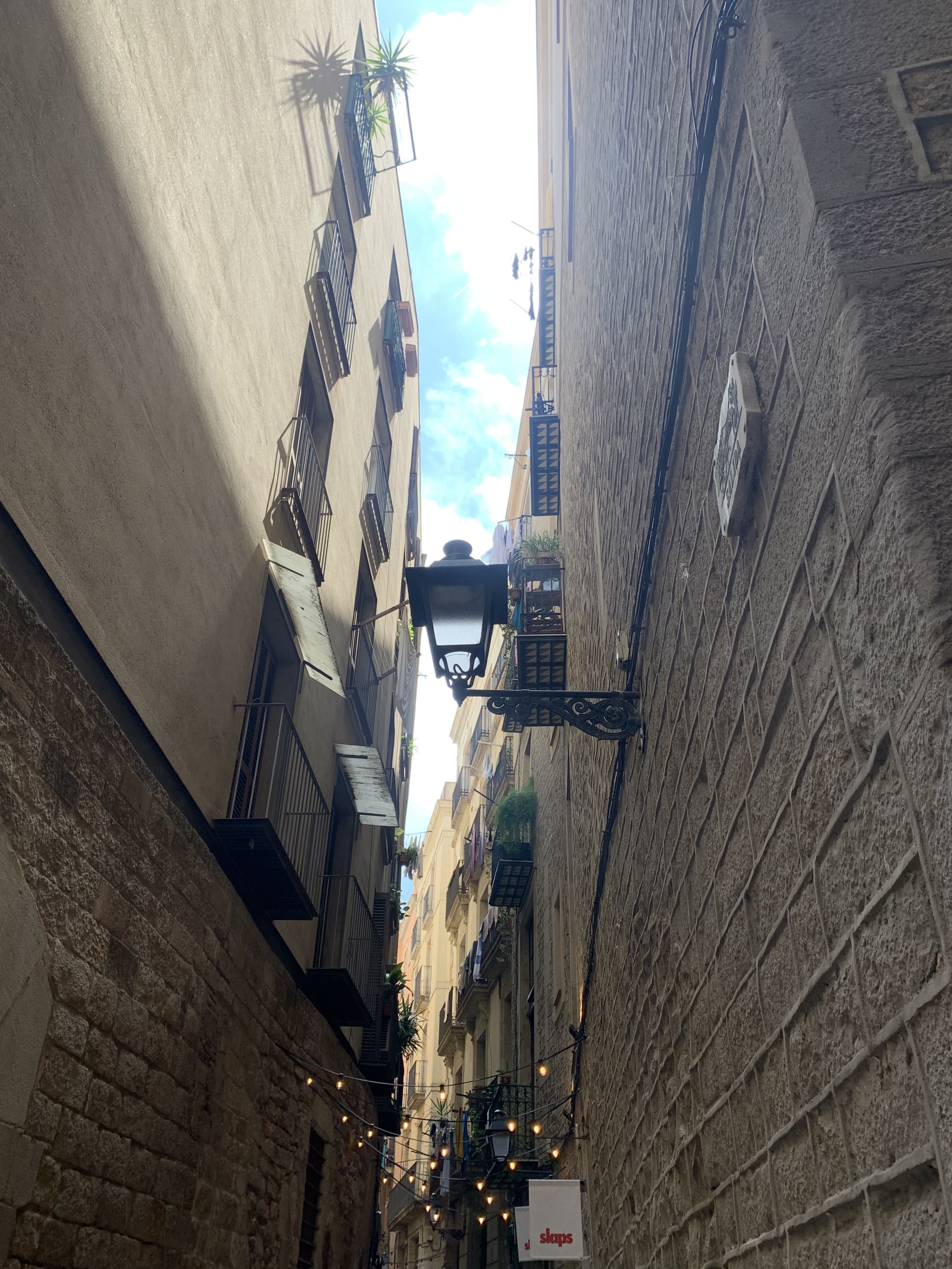 IMG_1928.jpeg