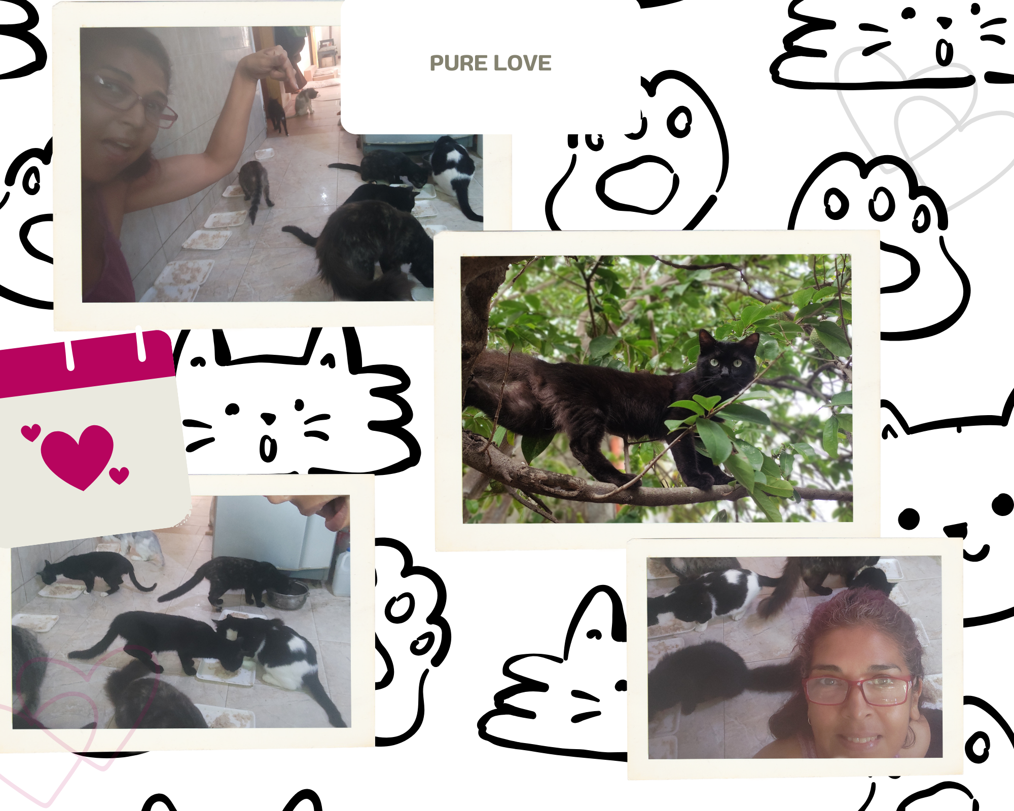 Collage de Fotos animales.png